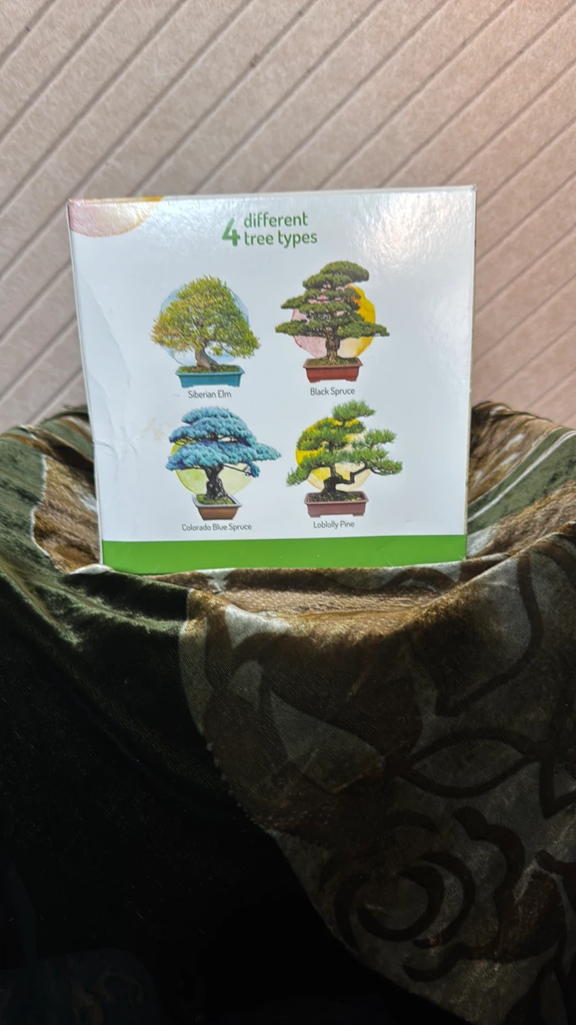 NATUREiT Bonsai Starter Kit - 4 Different Tree Types - photo 3