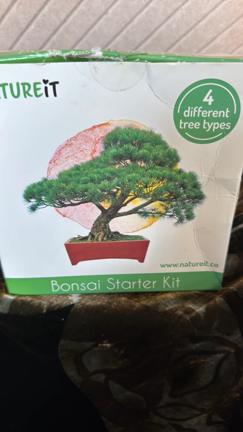 NATUREiT Bonsai Starter Kit - 4 Different Tree Types - photo 2