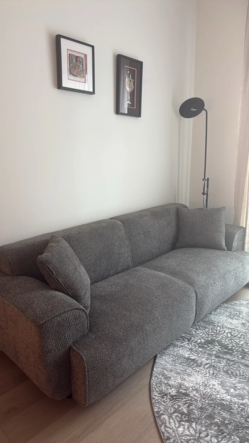 Gray Sofa with Throw Pillows - photo 5