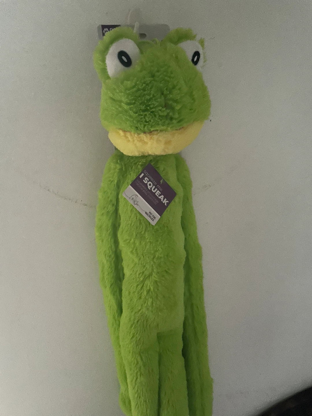 Plush Frog Squeaky Dog Toy