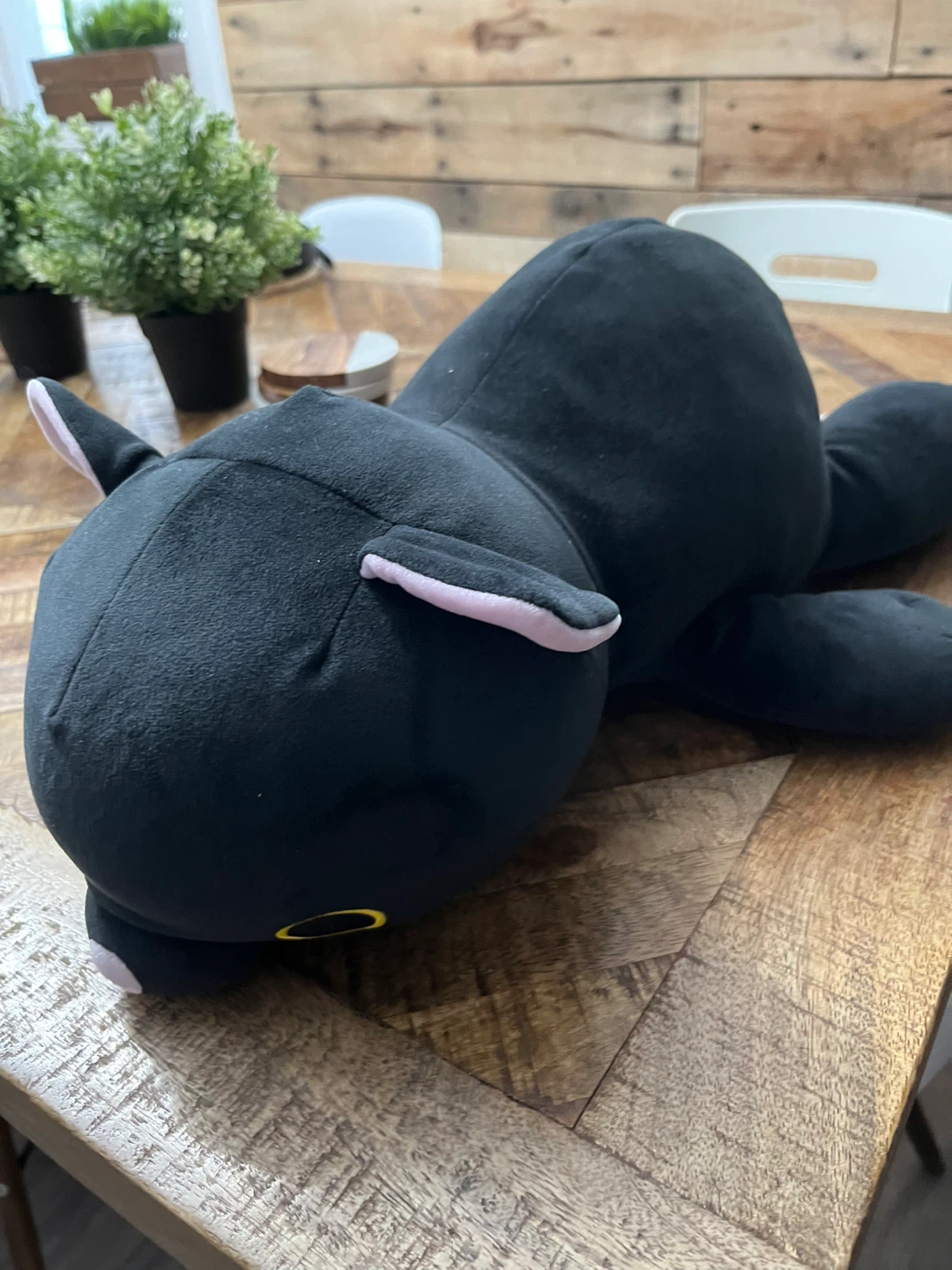 Plush black cat