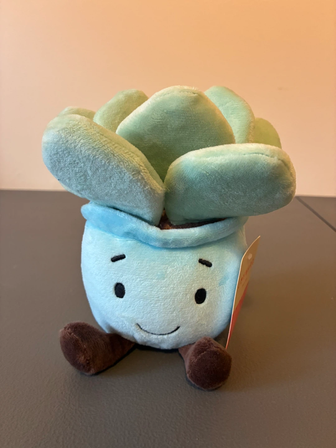 Joyward Plush Succulent Plant Dan Dee 6” Blue Pot 2026 NWT 3+