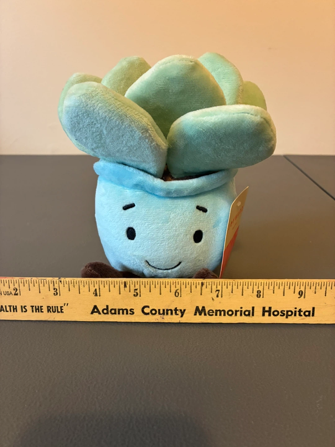 Joyward Plush Succulent Plant Dan Dee 6” Blue Pot 2026 NWT 3+ - photo 3