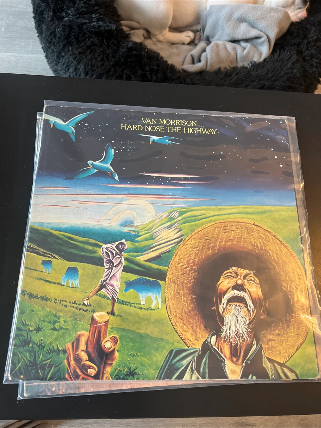 Van Morrison Hard Nose The Highway Vinyl Record