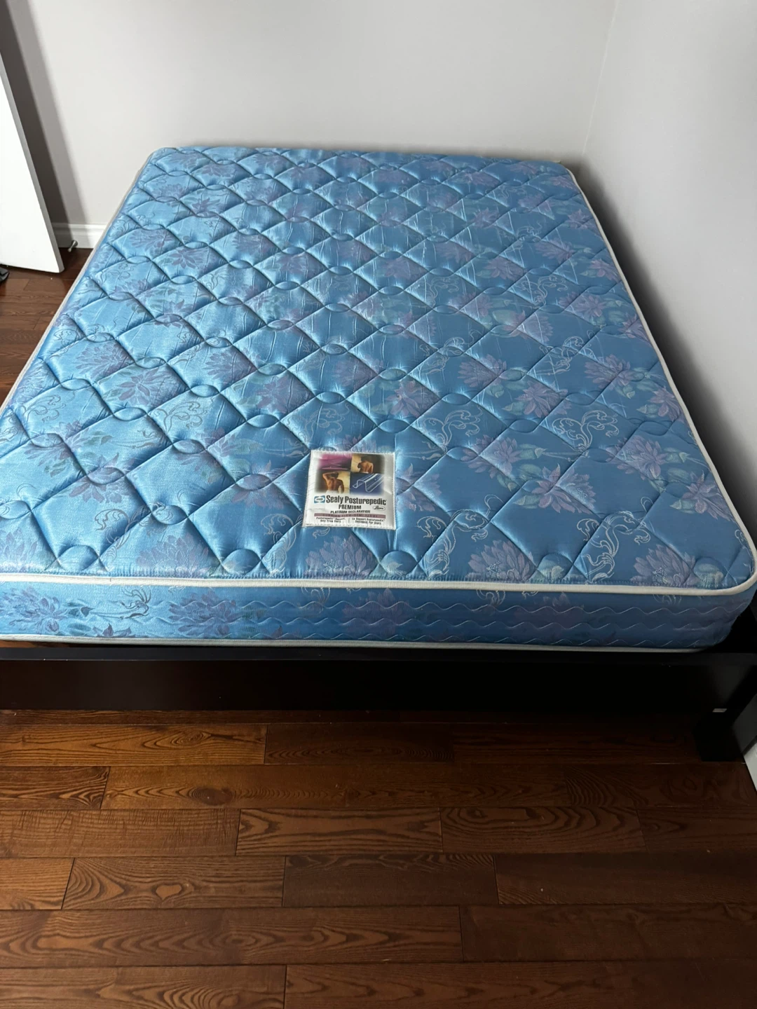 FREE Queen Bed + Mattress – Must Pick Up (Kitchener-W)