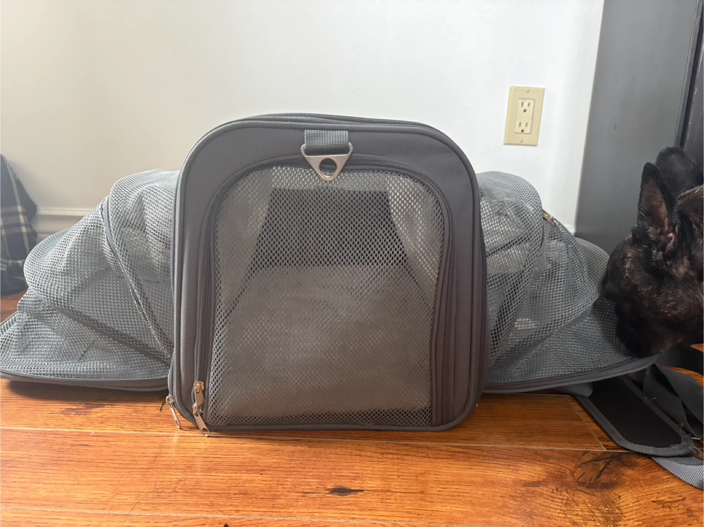 Jet Sitter Pet Carrier Bag - photo 3