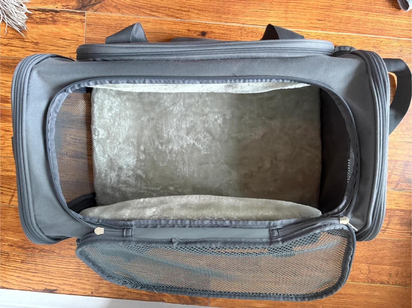 Jet Sitter Pet Carrier Bag - photo 5