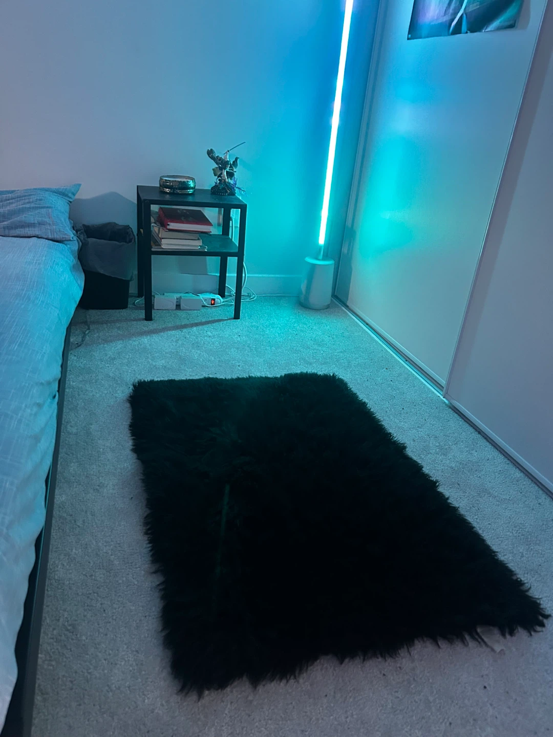 Faux Fur/Shaggy/Fluffy Sheepskin Area Rug (2ft x 3ft)