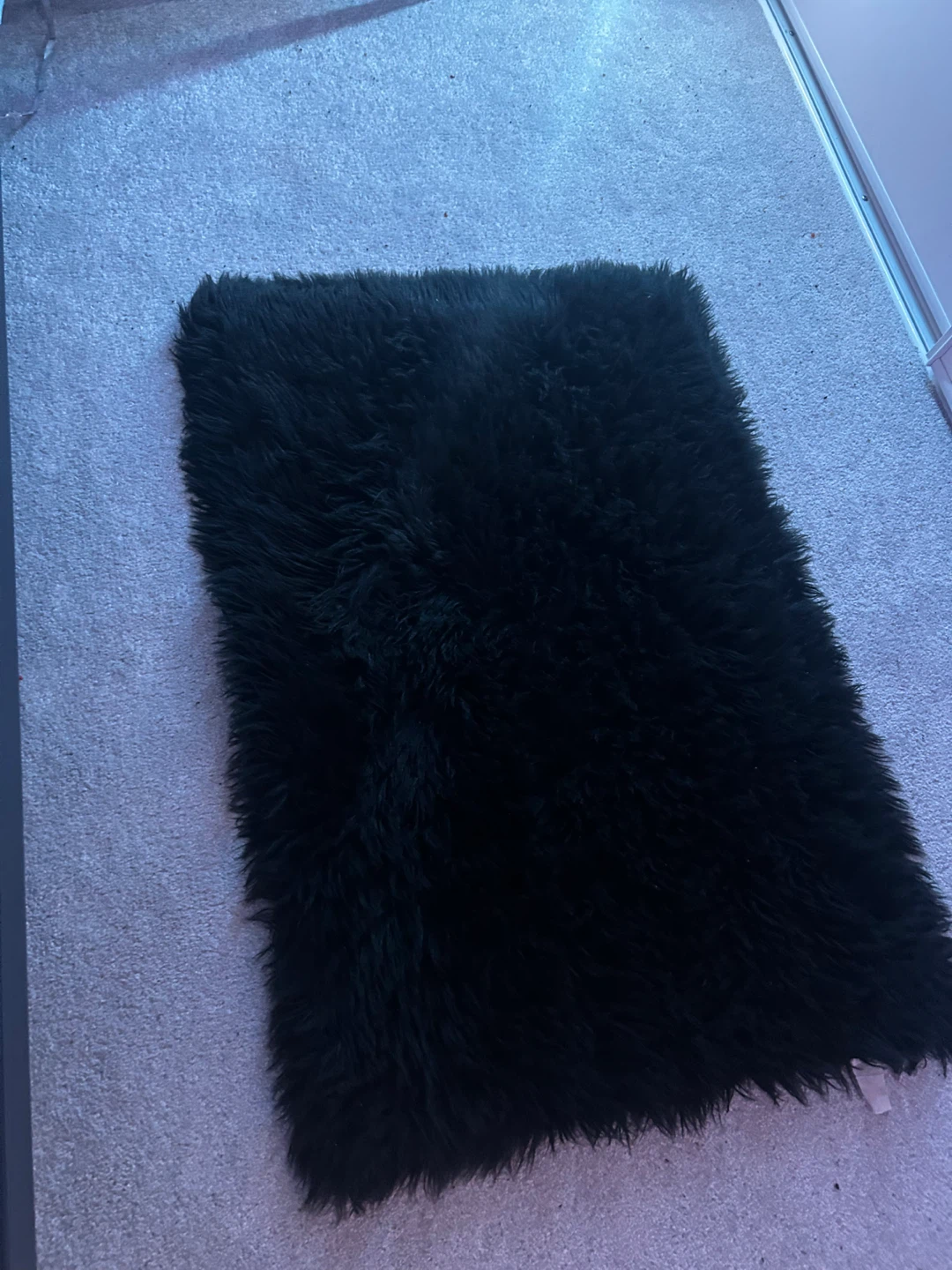 Faux Fur/Shaggy/Fluffy Sheepskin Area Rug (2ft x 3ft) - photo 4