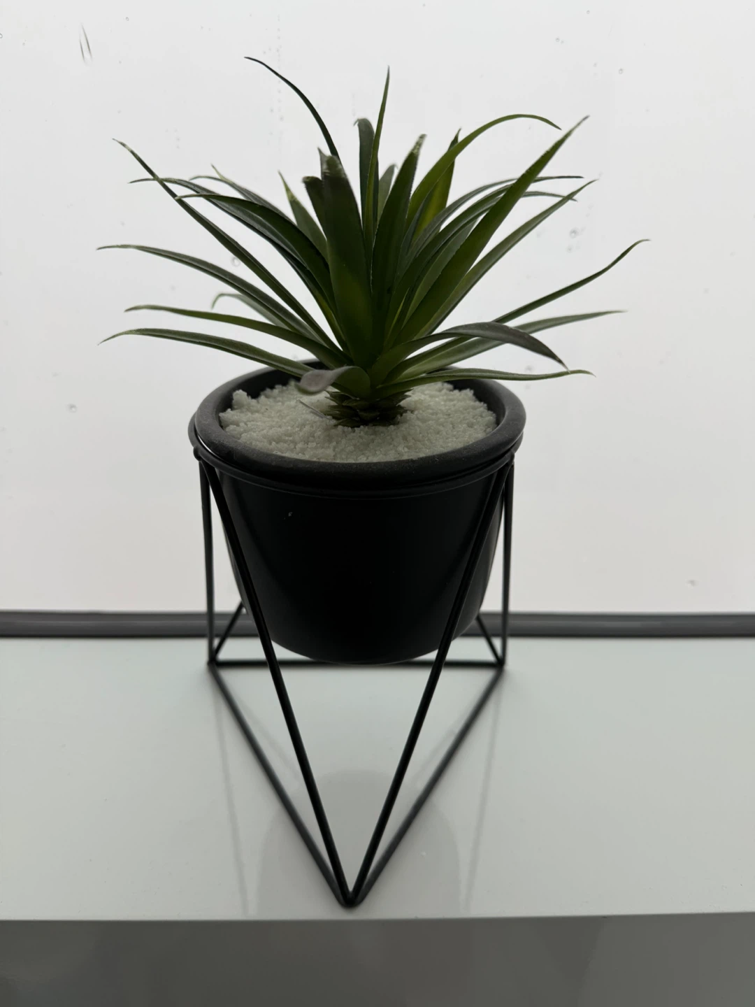 Artificial Succulent Plant in Black Geometric Planter