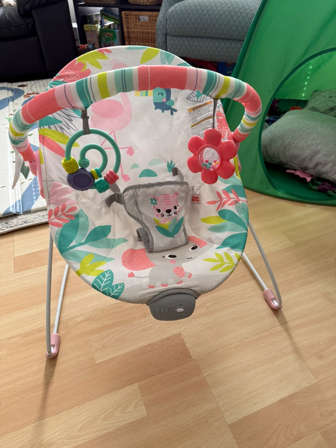 Fisher-Price Baby Bouncer