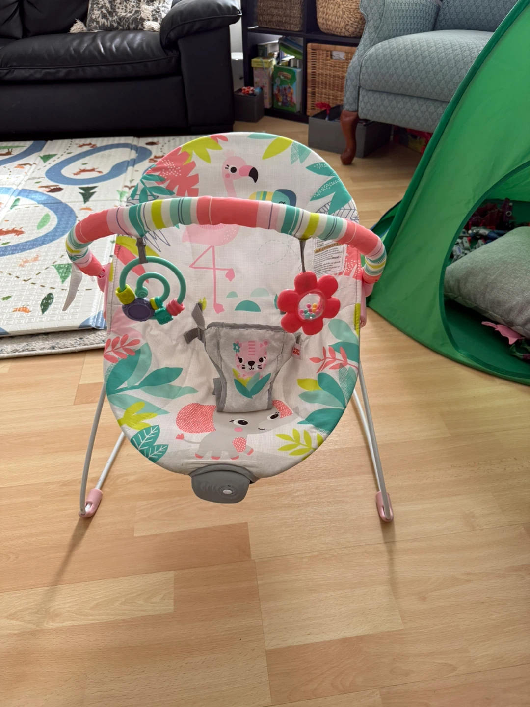 Fisher-Price Baby Bouncer - photo 2