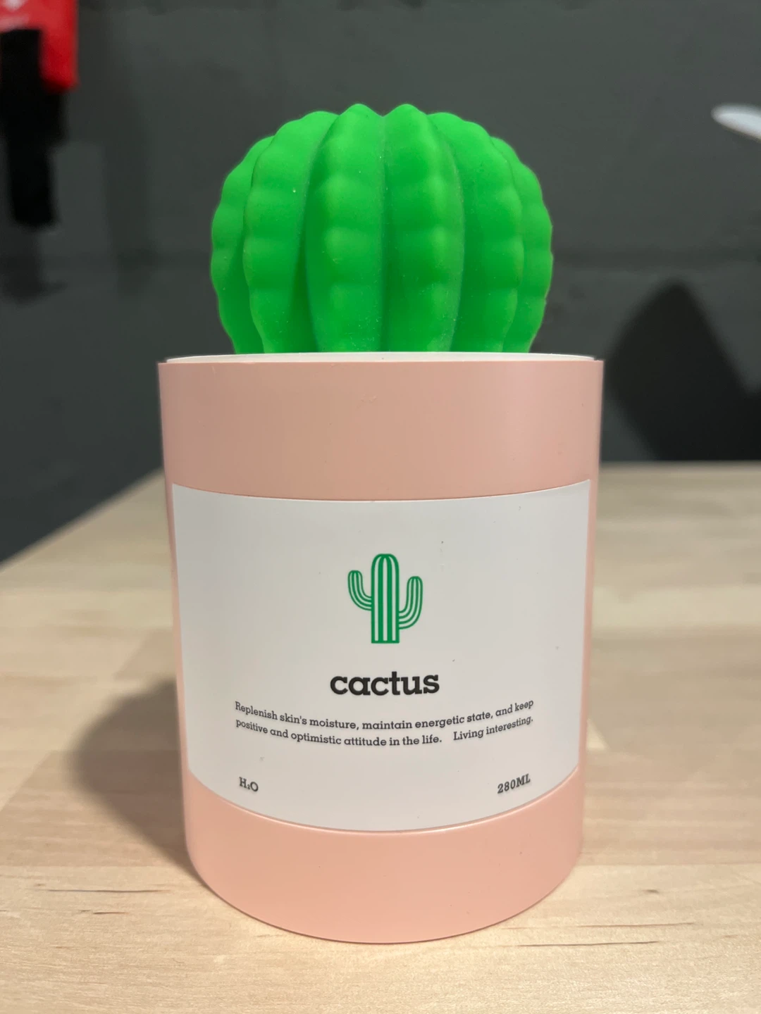 Cactus humidifier