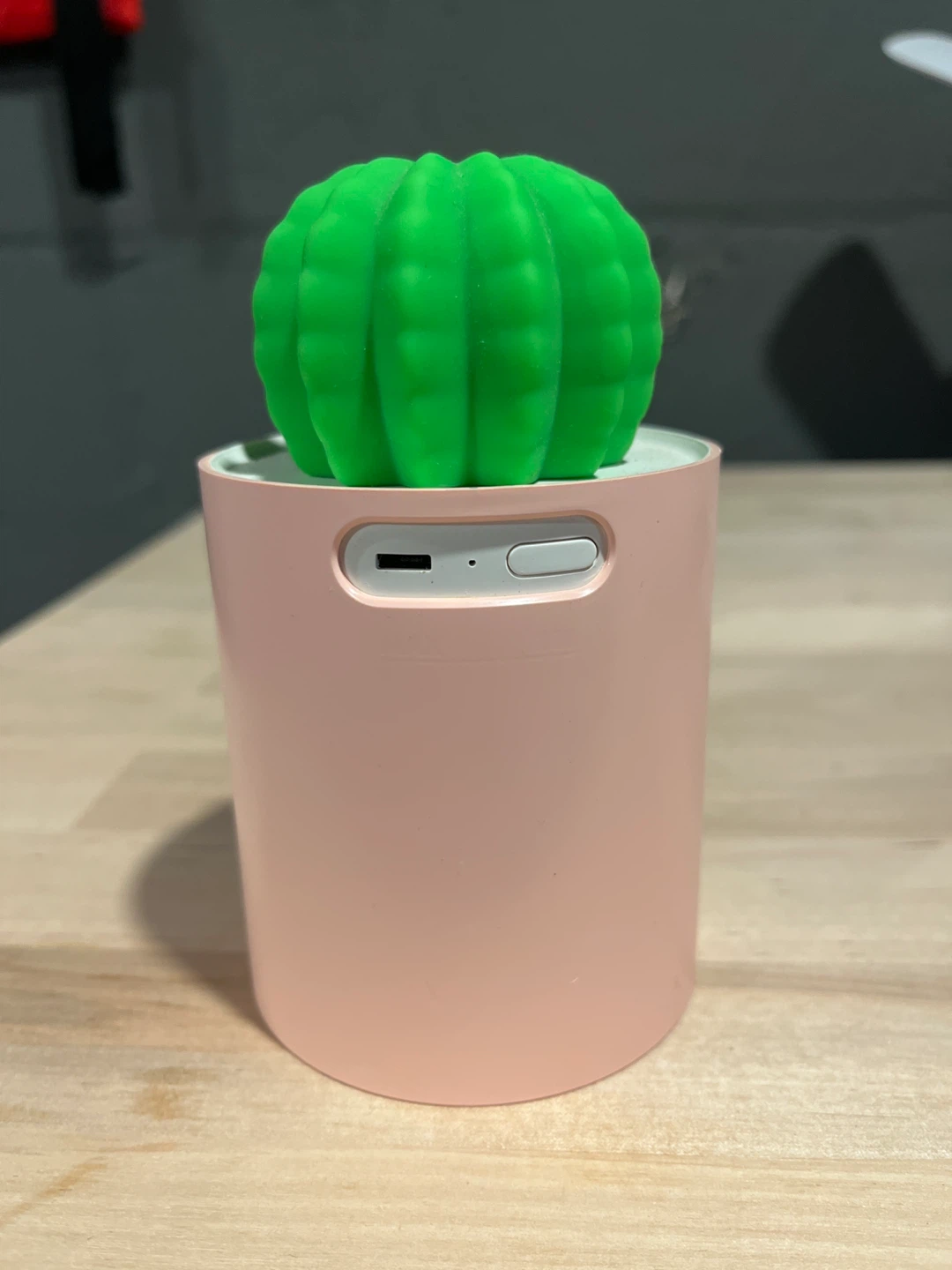Cactus humidifier - photo 3