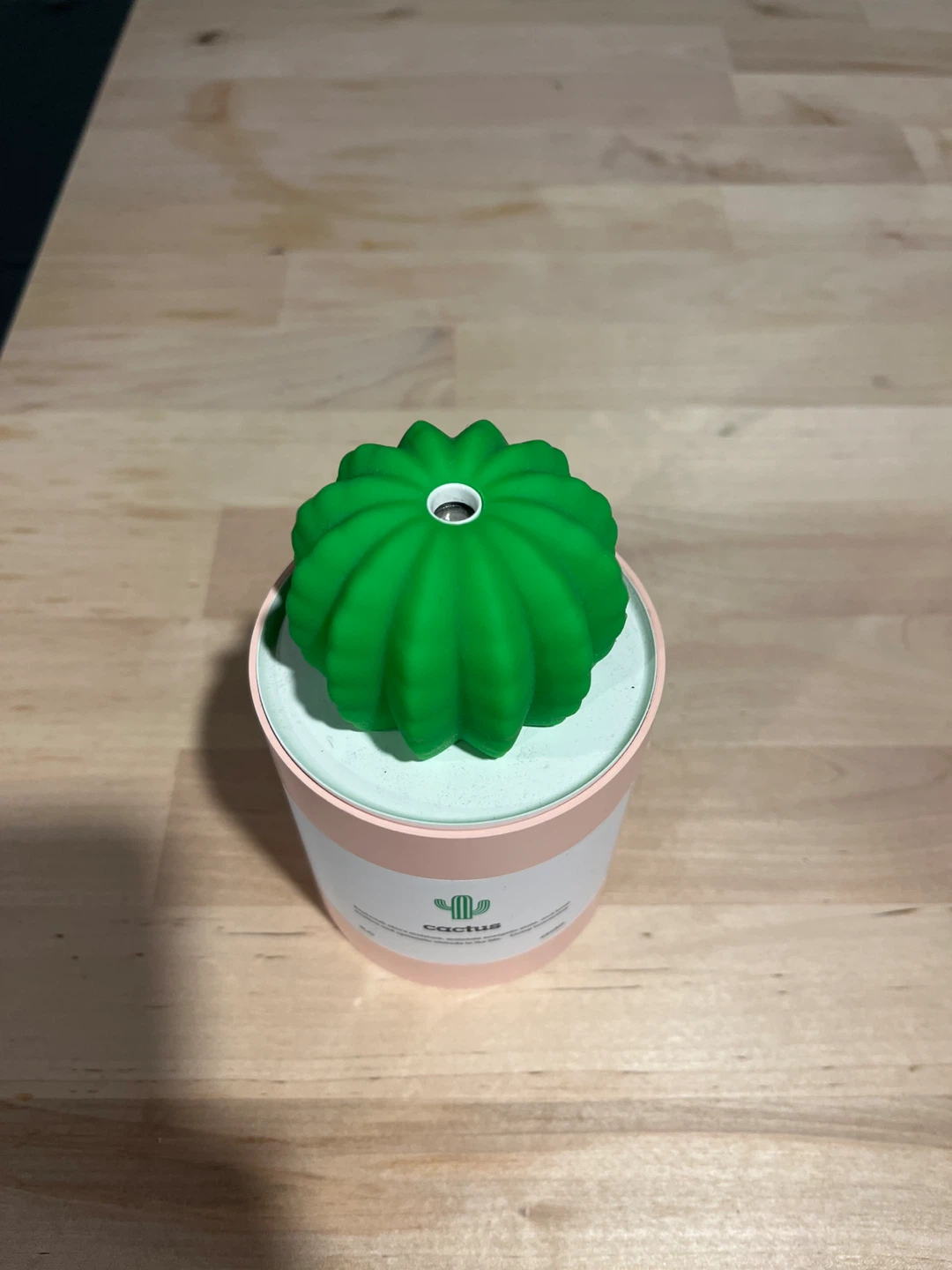 Cactus humidifier - photo 2