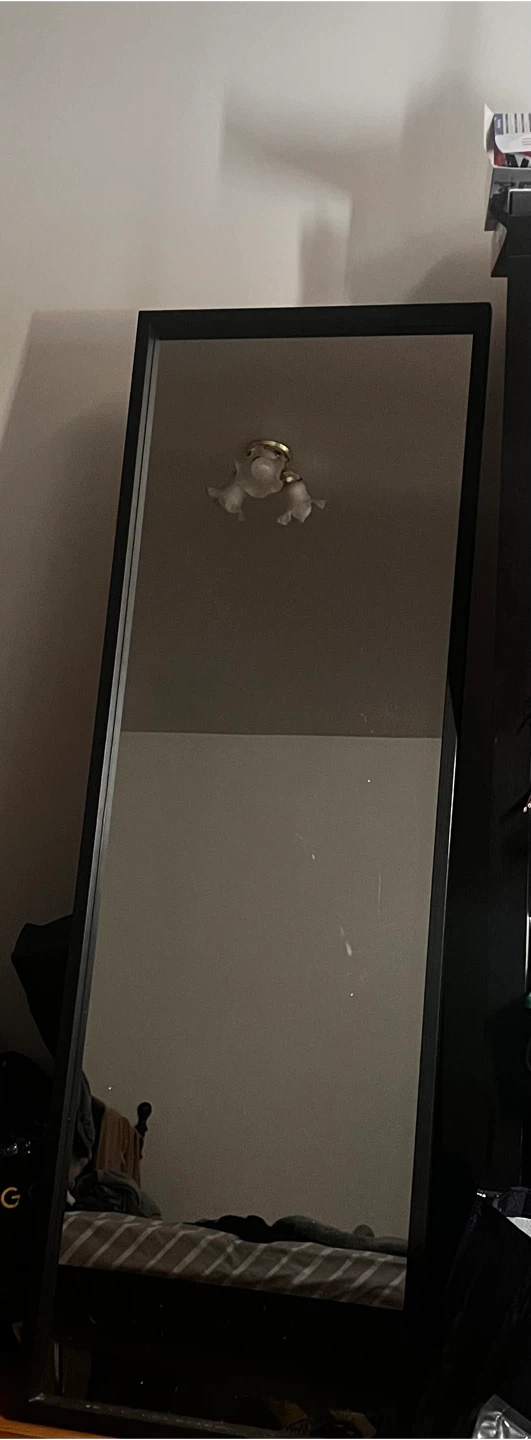 Black Full Length Mirror