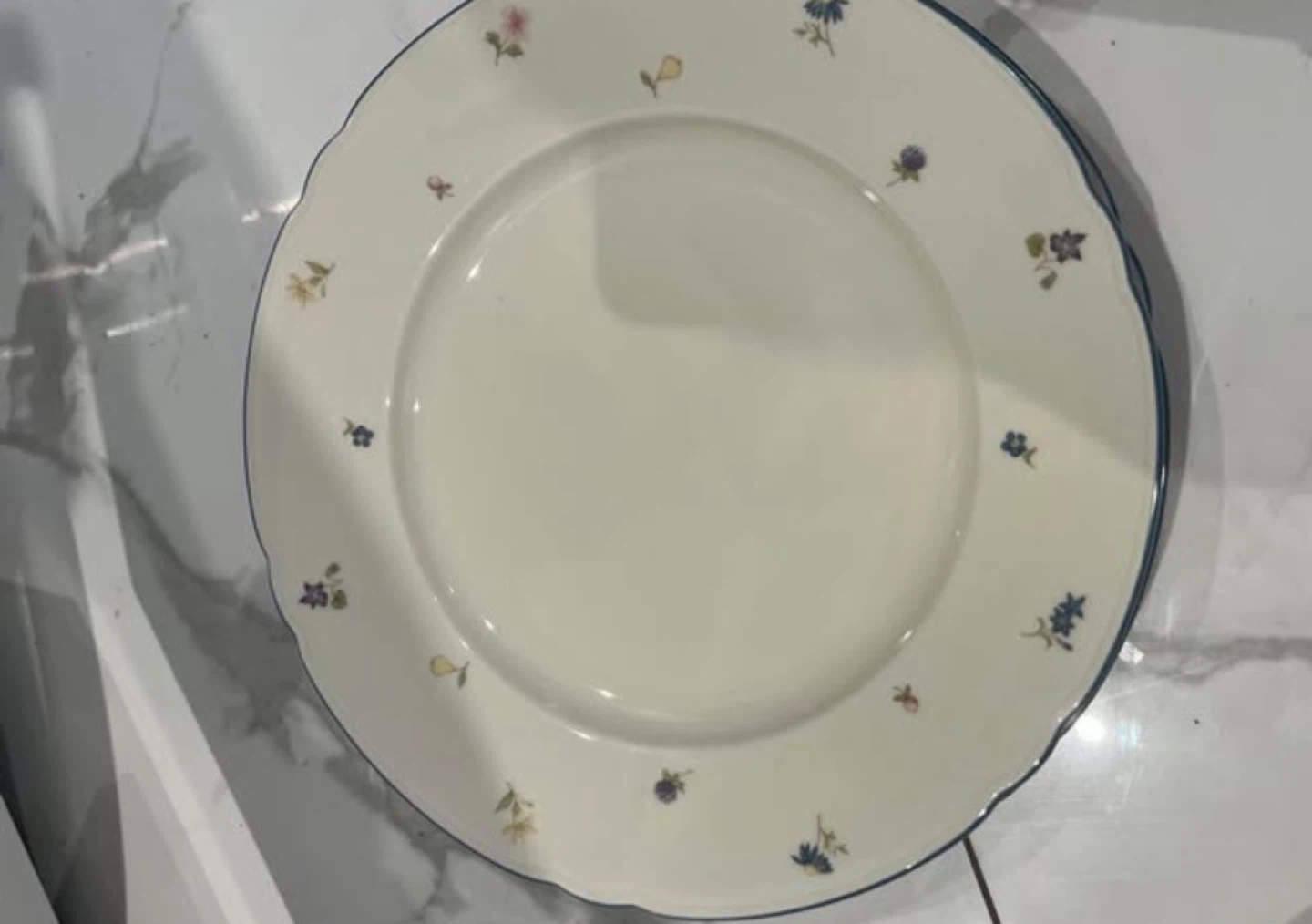 Seltmann Weiden Streublume Marie Luise ivory vintage china sets - photo 3