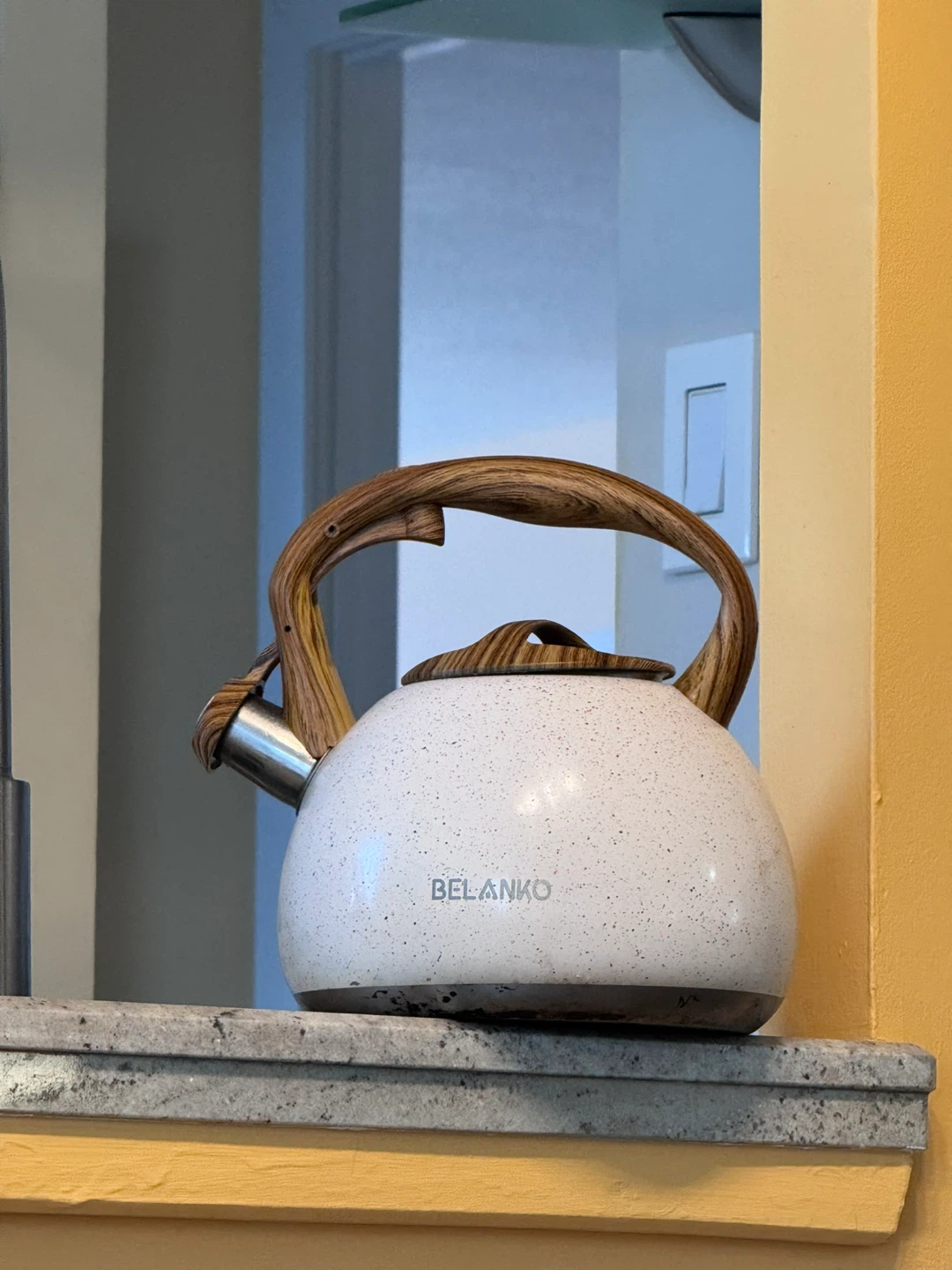 Belanko White Speckled Kettle with Wood Handle