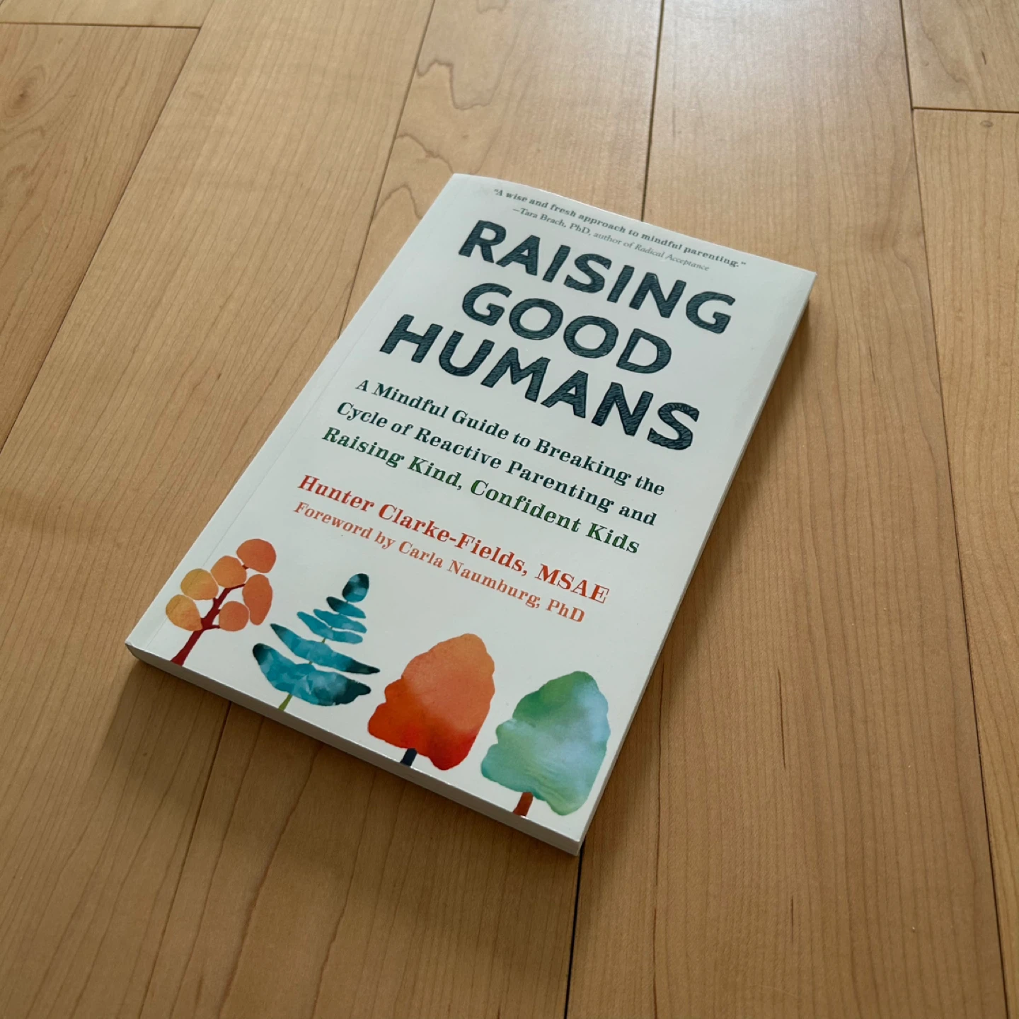 Raising Good Humans - parenting book - photo 4