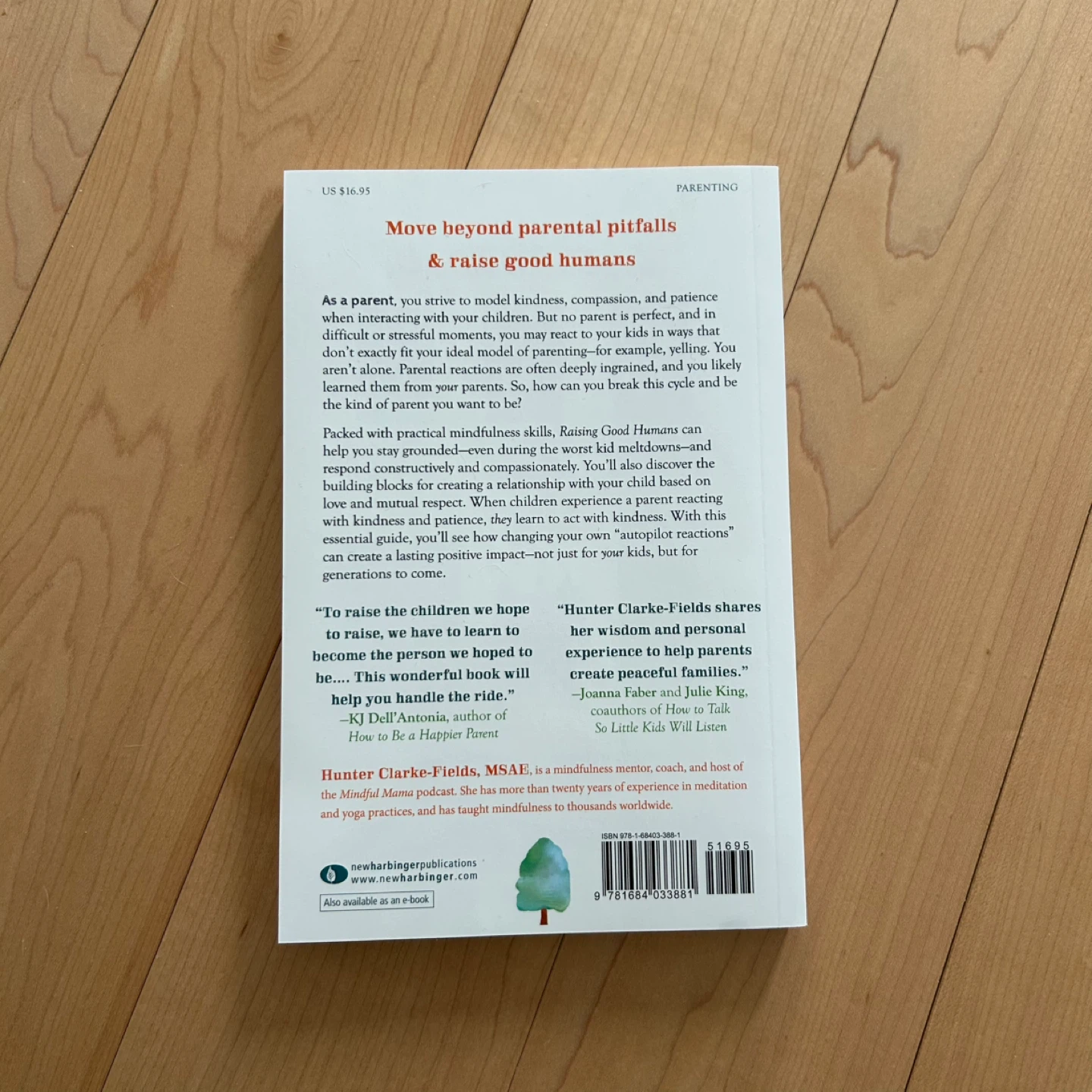 Raising Good Humans - parenting book - photo 3