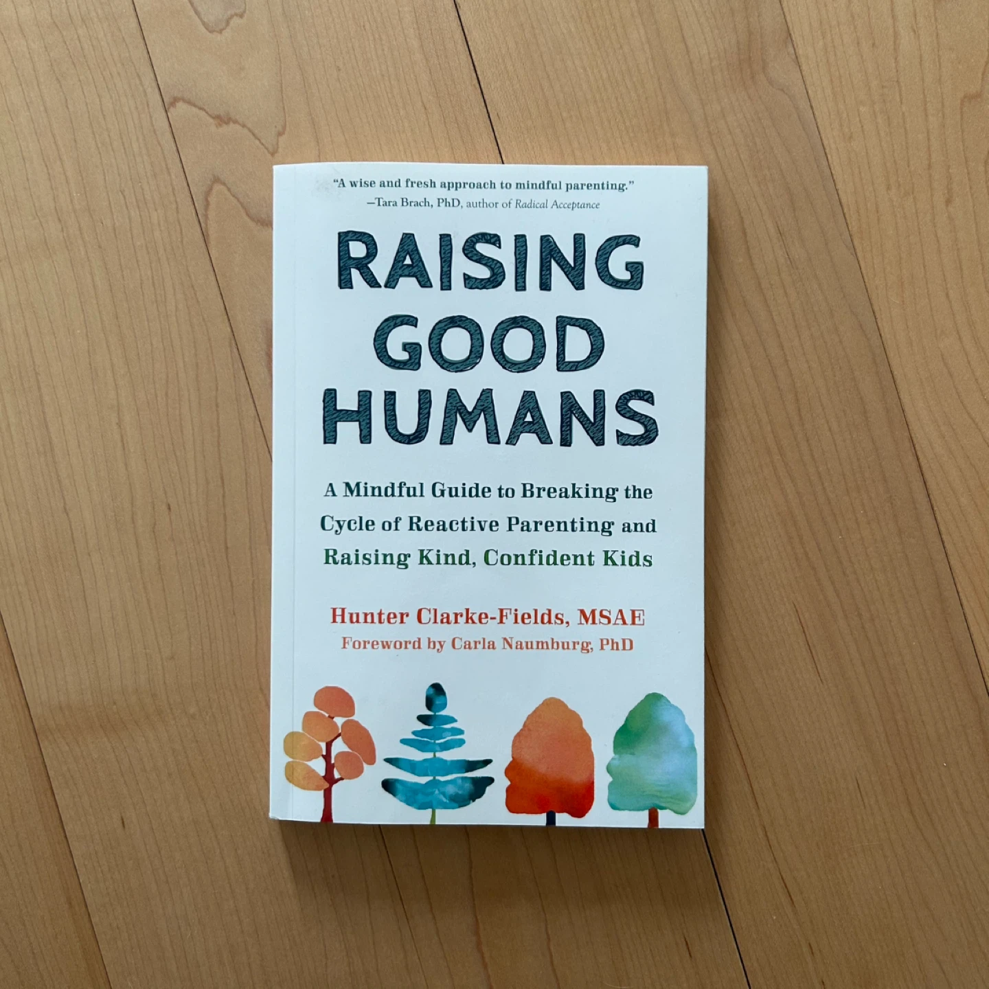 Raising Good Humans - parenting book
