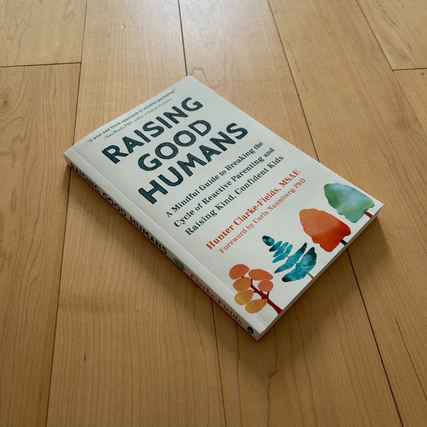 Raising Good Humans - parenting book - photo 2