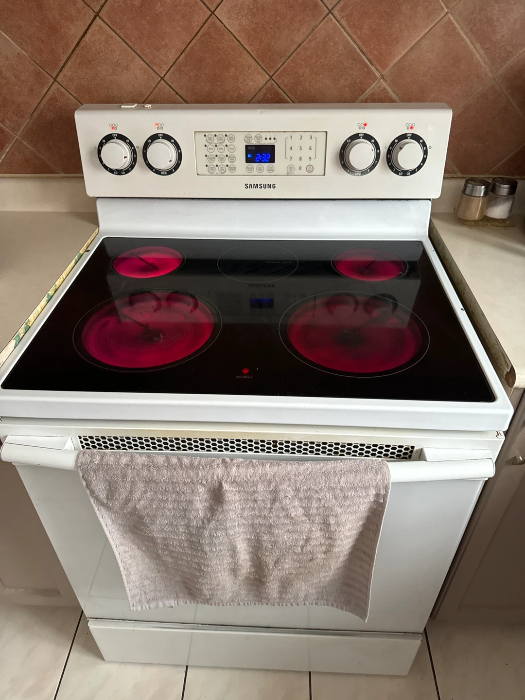 Samsung Electric Stove