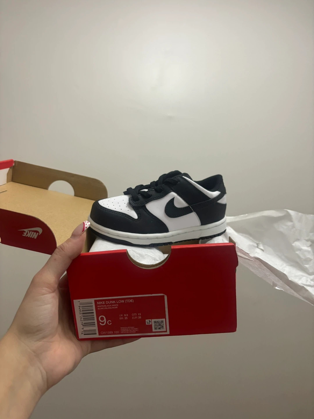 Nike Dunk Low (TD) Toddler Shoes