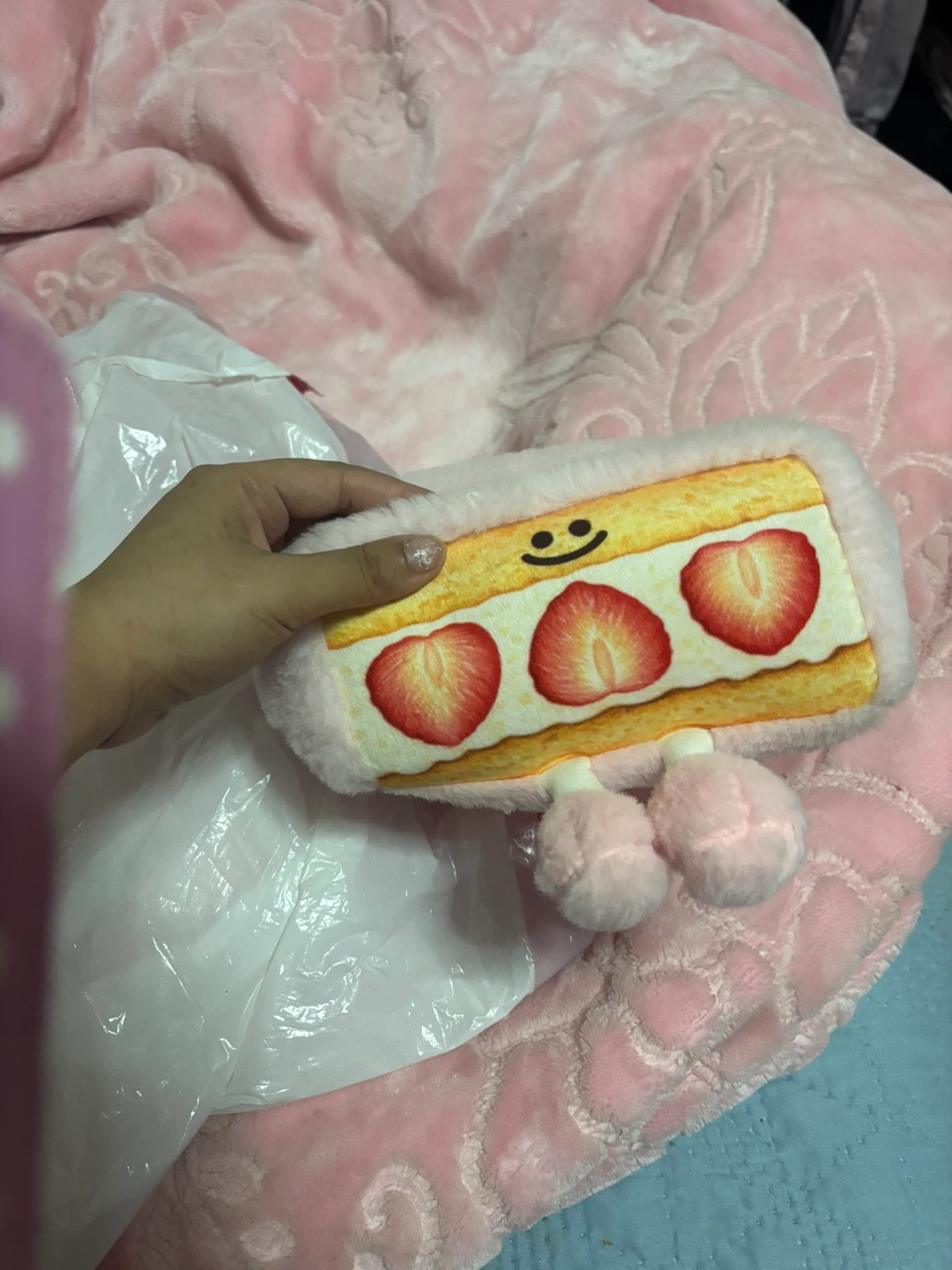 Strawberry Shortcake Plush Pencil Case