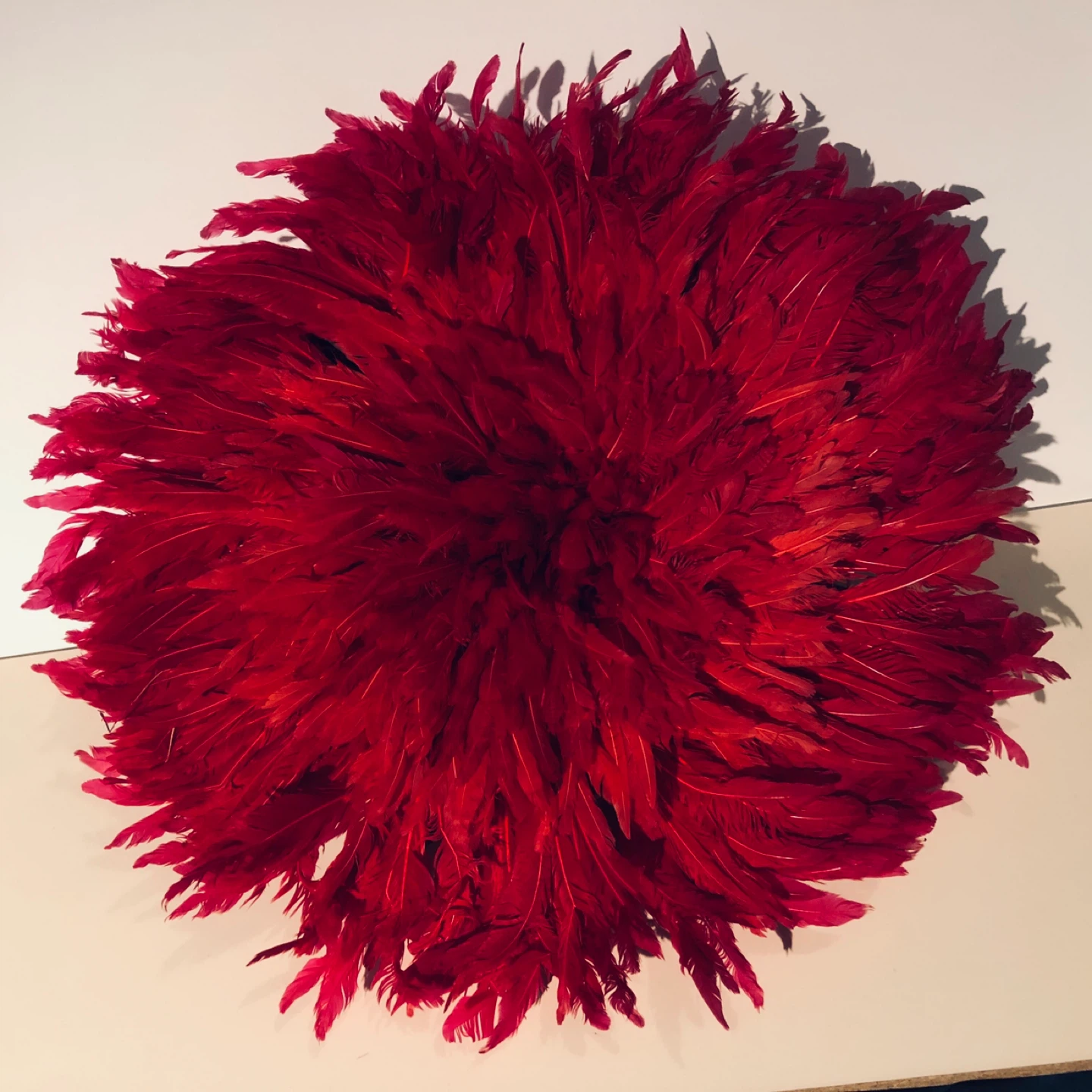 Juju heard..Red Feather Wall Decor