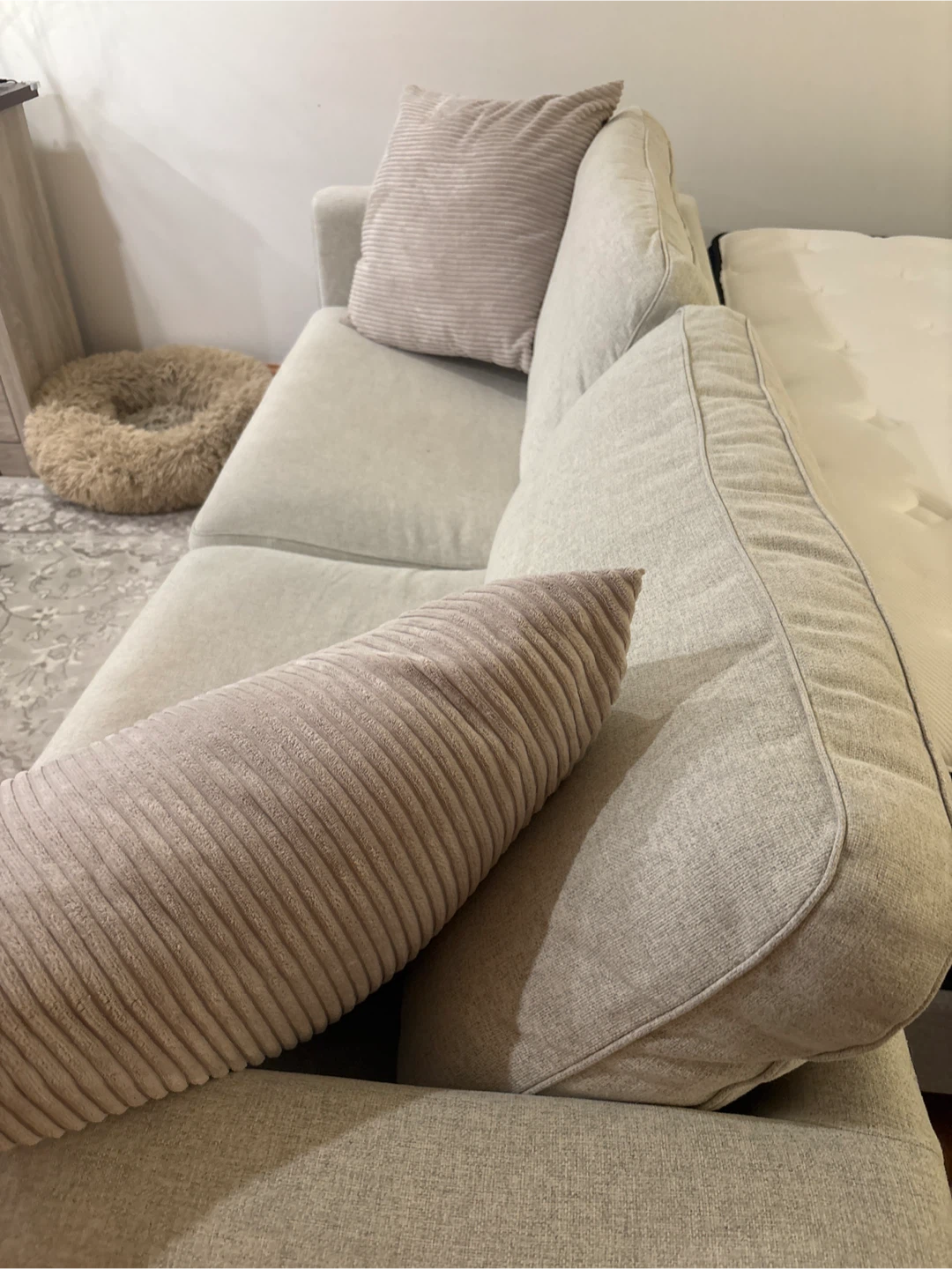 Light Grey Fabric Loveseat Sofa with Accent Pillows