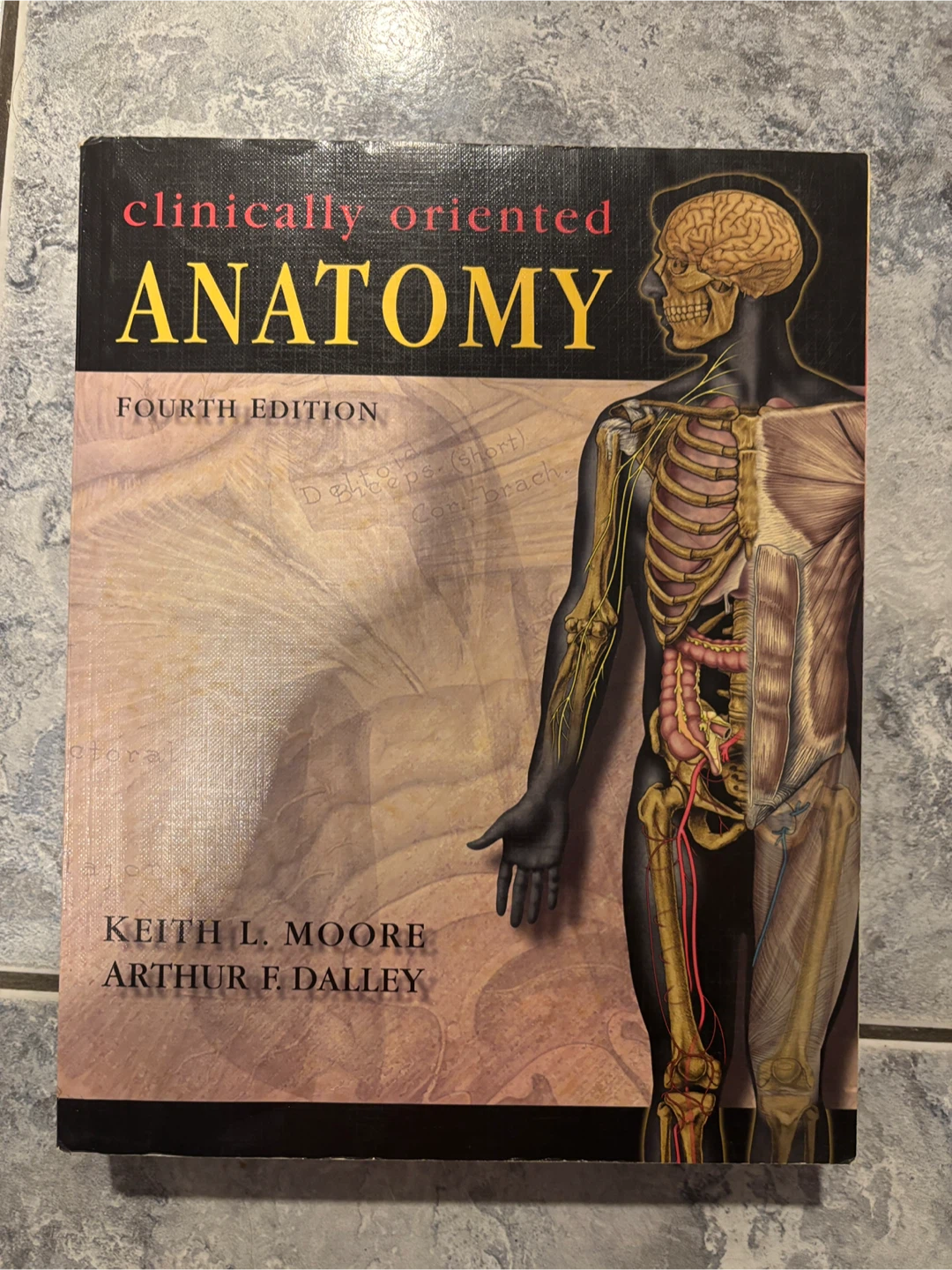 Anatomy textbooks