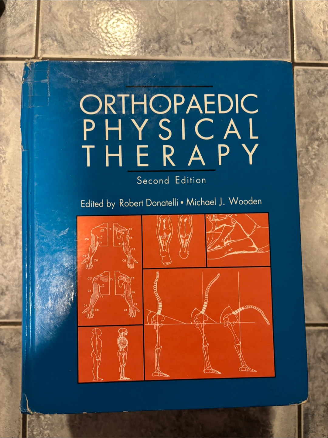 Anatomy textbooks - photo 5