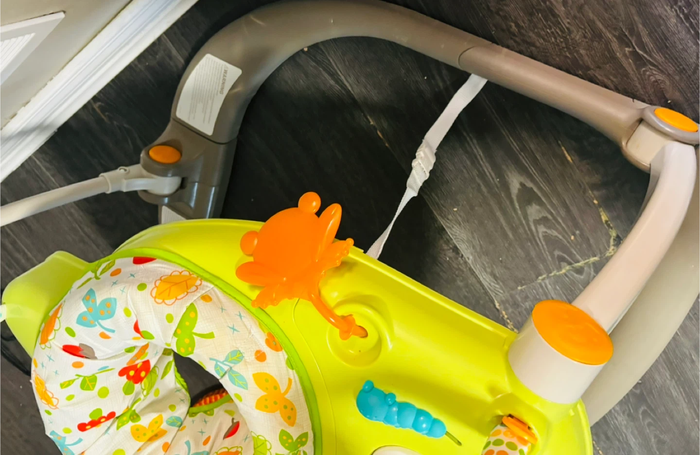 Fisher-Price Jumperoo - photo 4