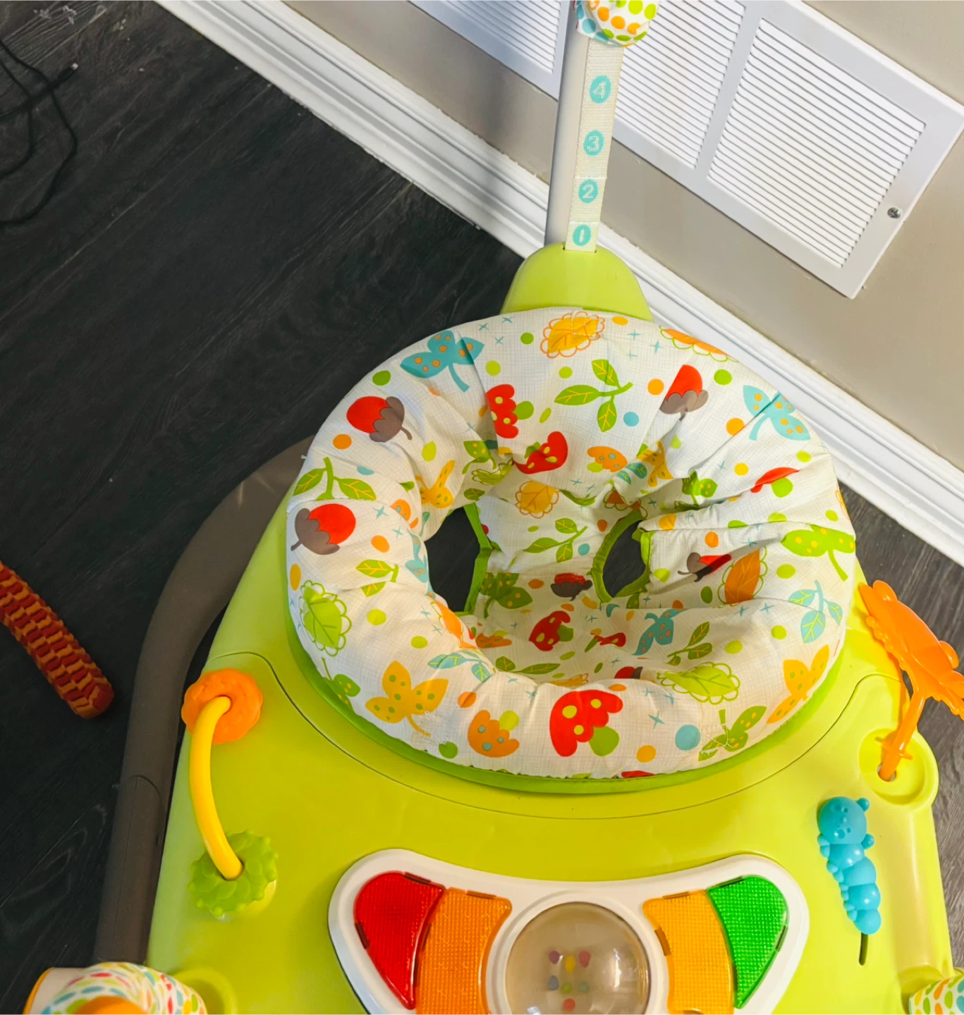 Fisher-Price Jumperoo - photo 3