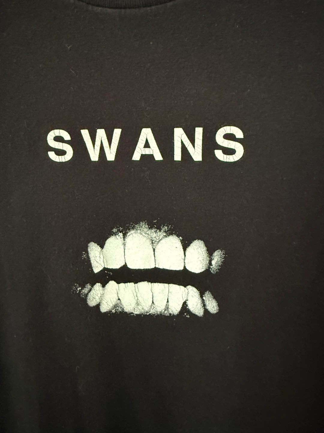 Swans band tee shirt — sz M - photo 2