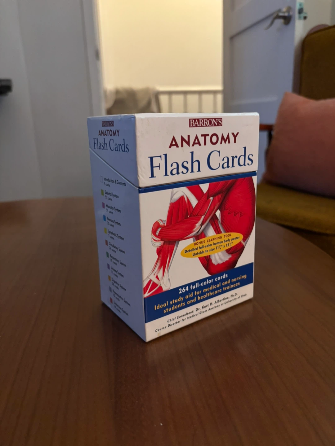 Barron's Anatomy Flash Cards