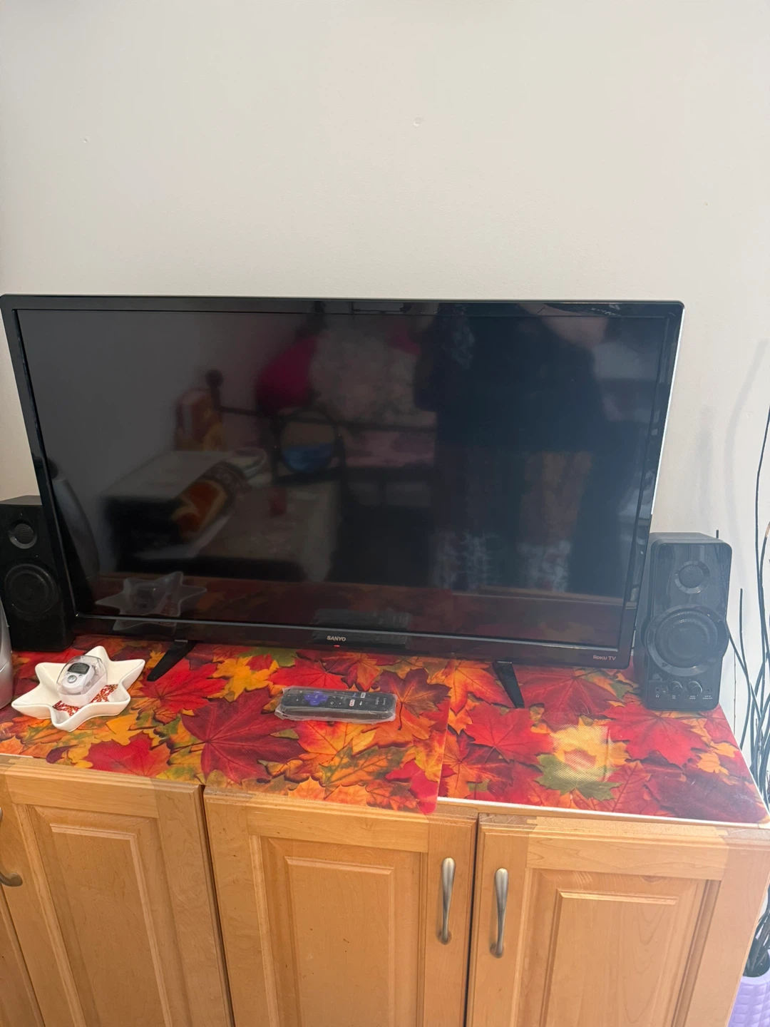 TV Roku - photo 5