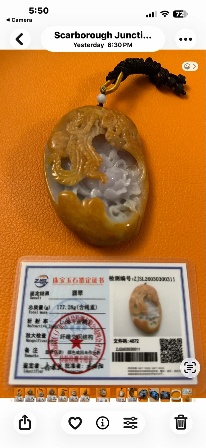 Jade Carved Pendant rare Dragon & Floral with Certification