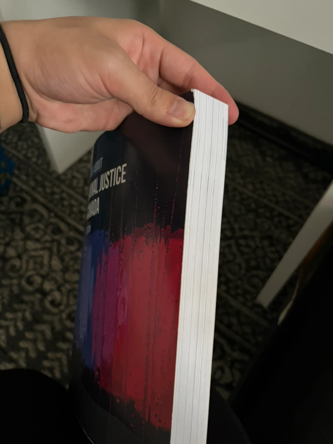 Criminal Justice in Canada - Third Edition - photo 4