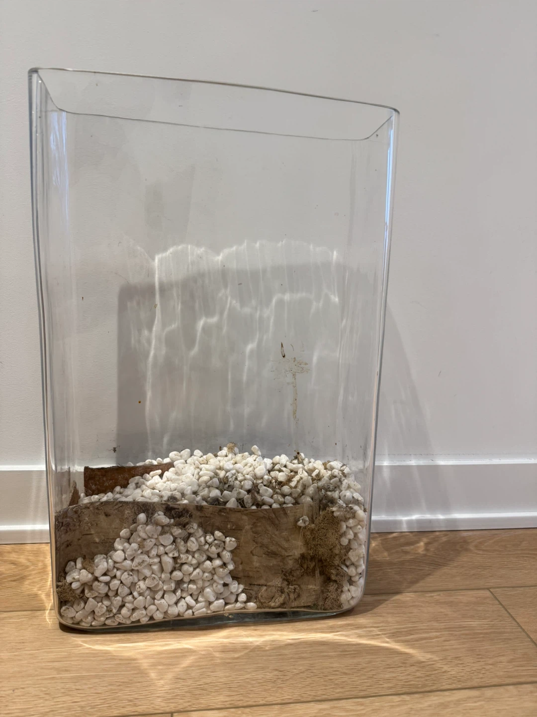 Glass Terrarium Container