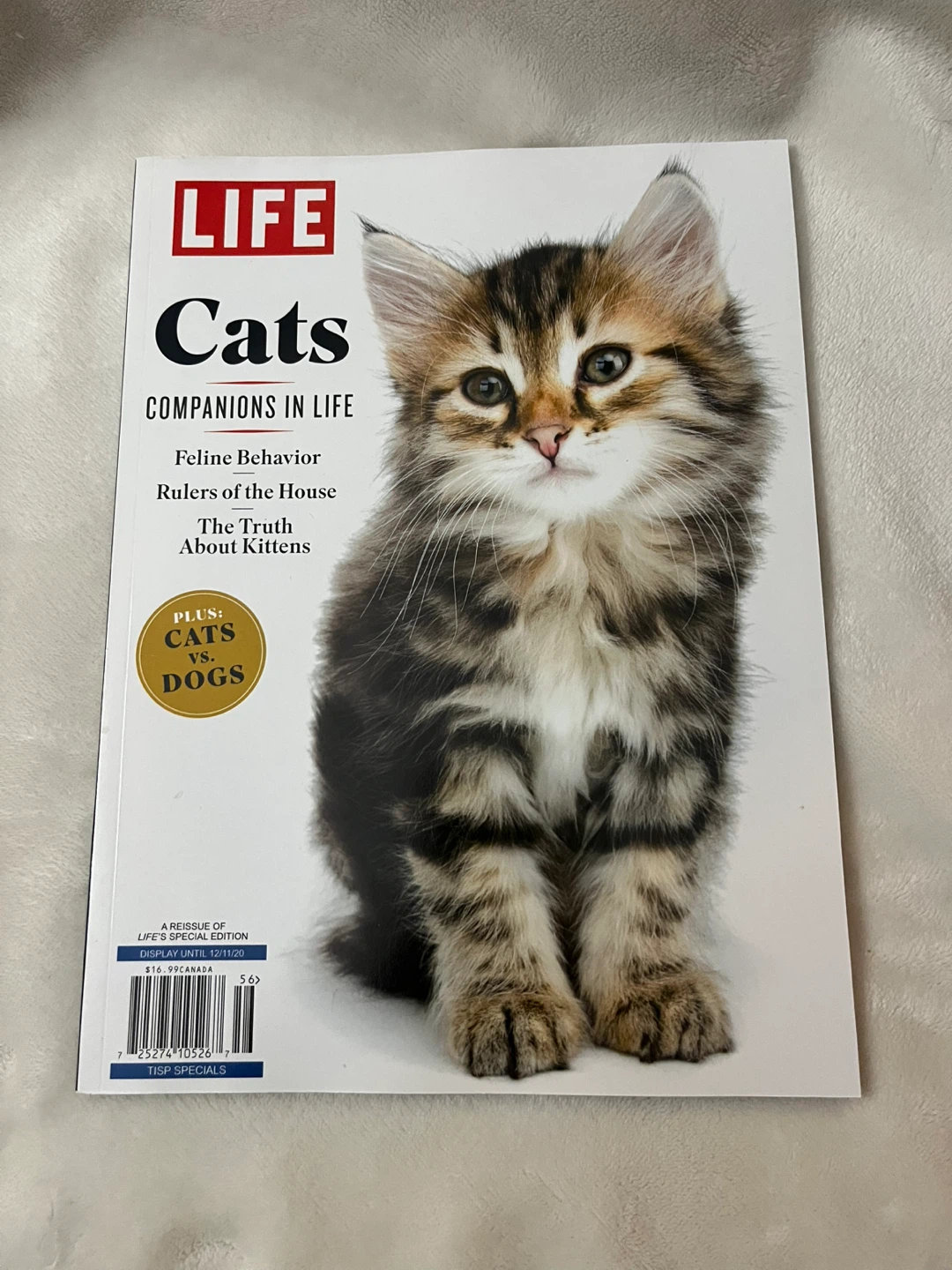 LIFE Special Edition Magazine - Cats: Companions in Life