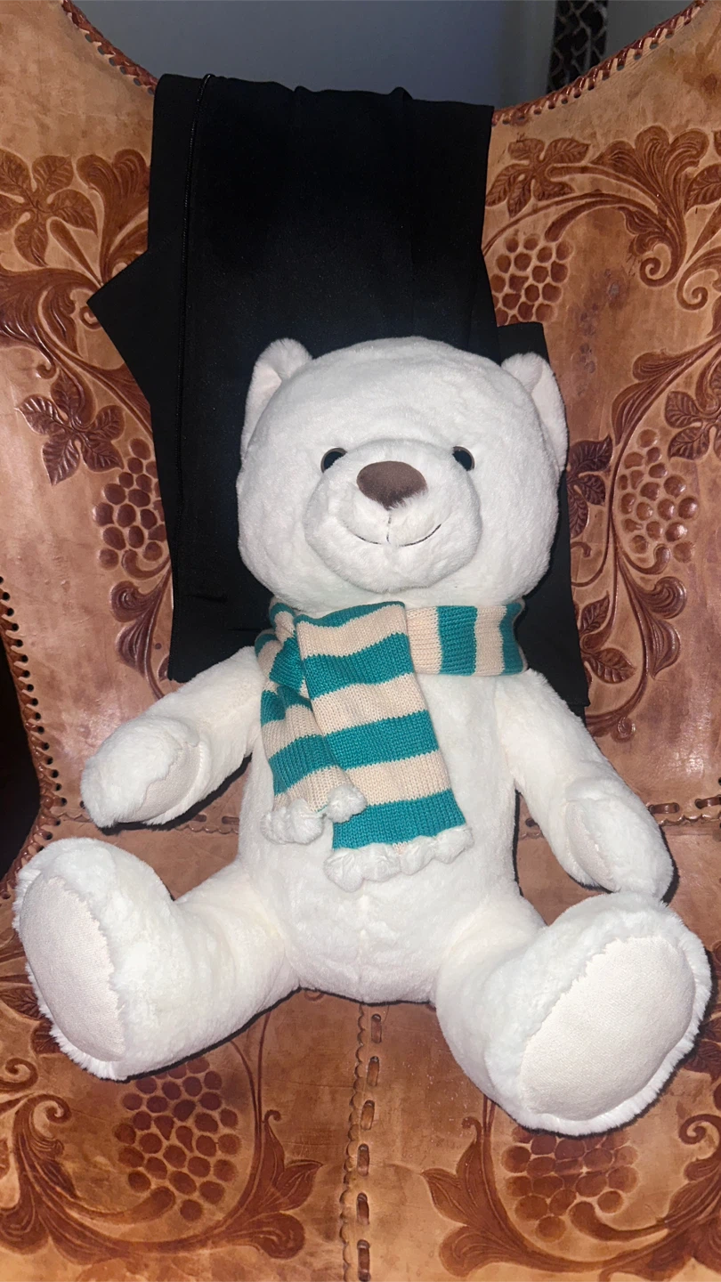 White Teddy Bear with Striped Scarf