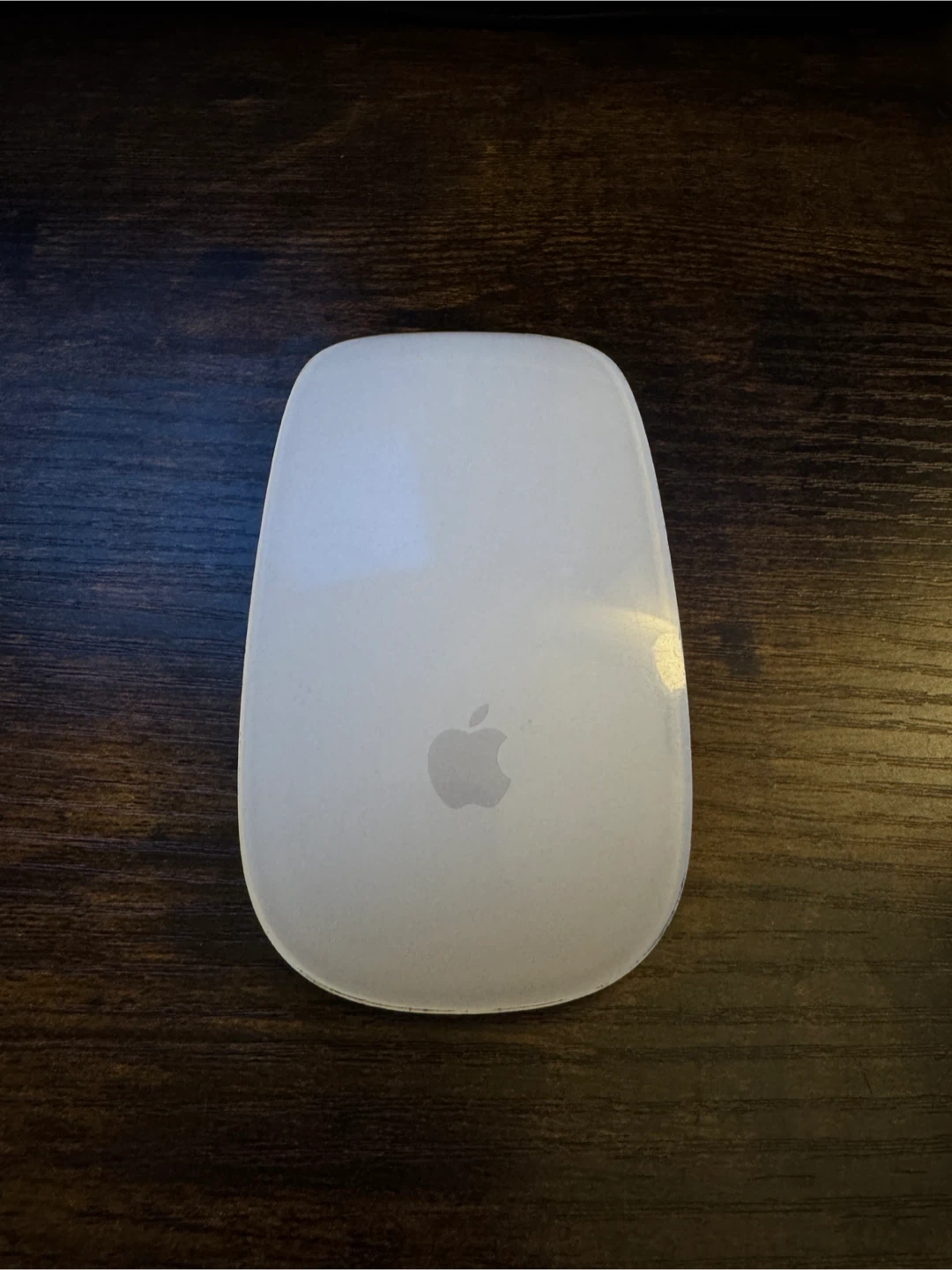Apple Magic Mouse 2 - Silver
