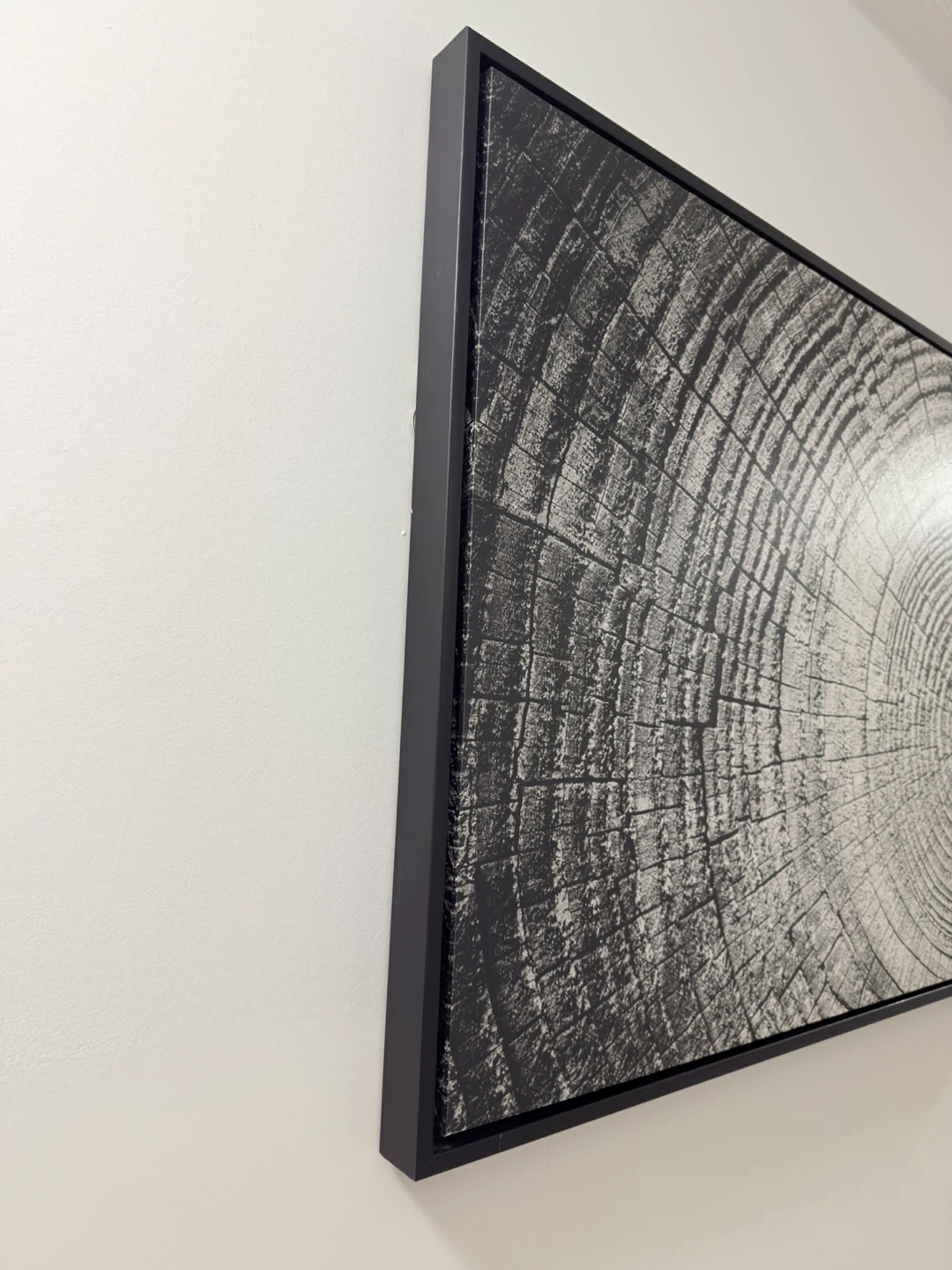 Framed Black and White Ring Art Print - photo 3