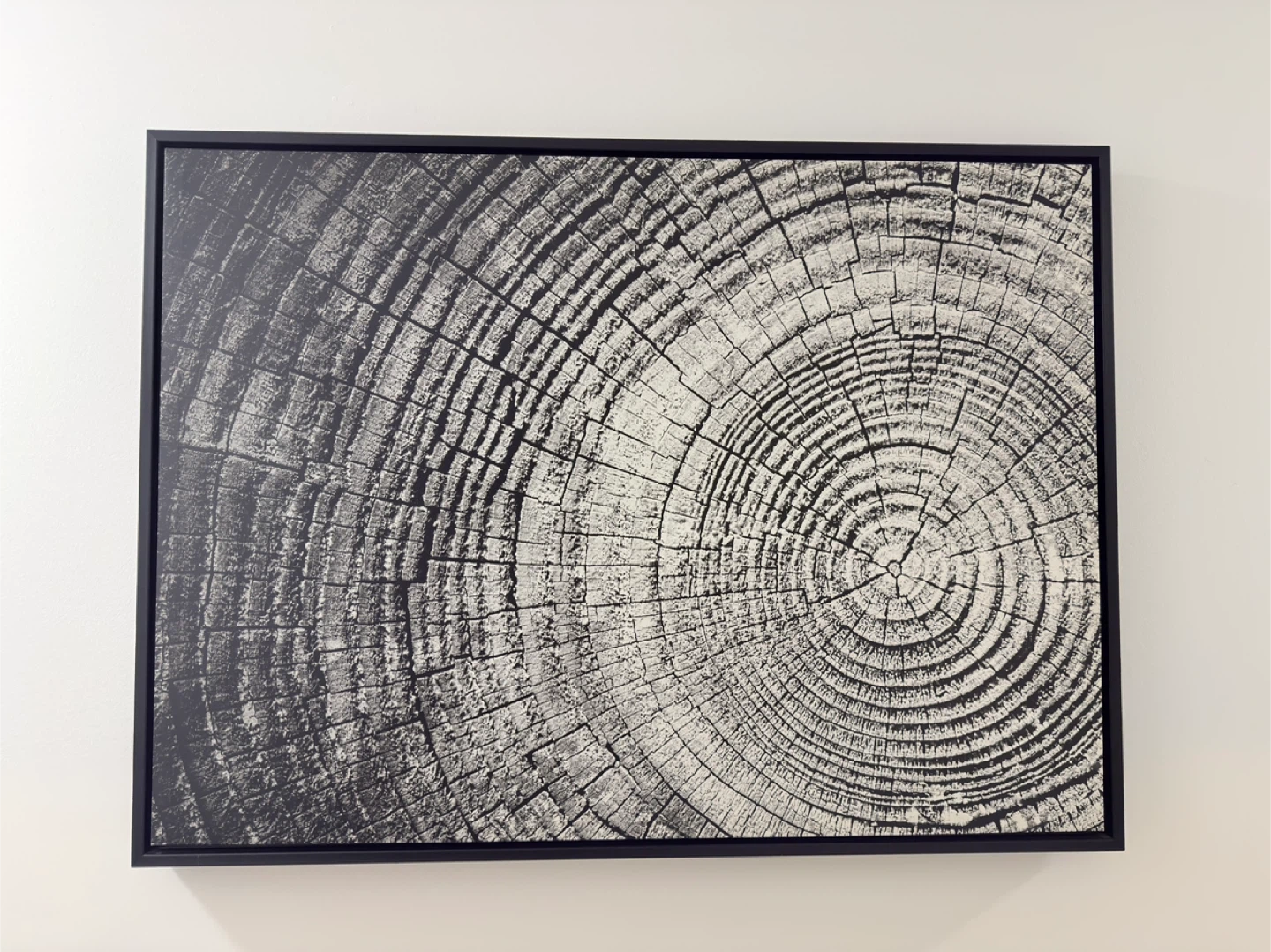 Framed Black and White Ring Art Print