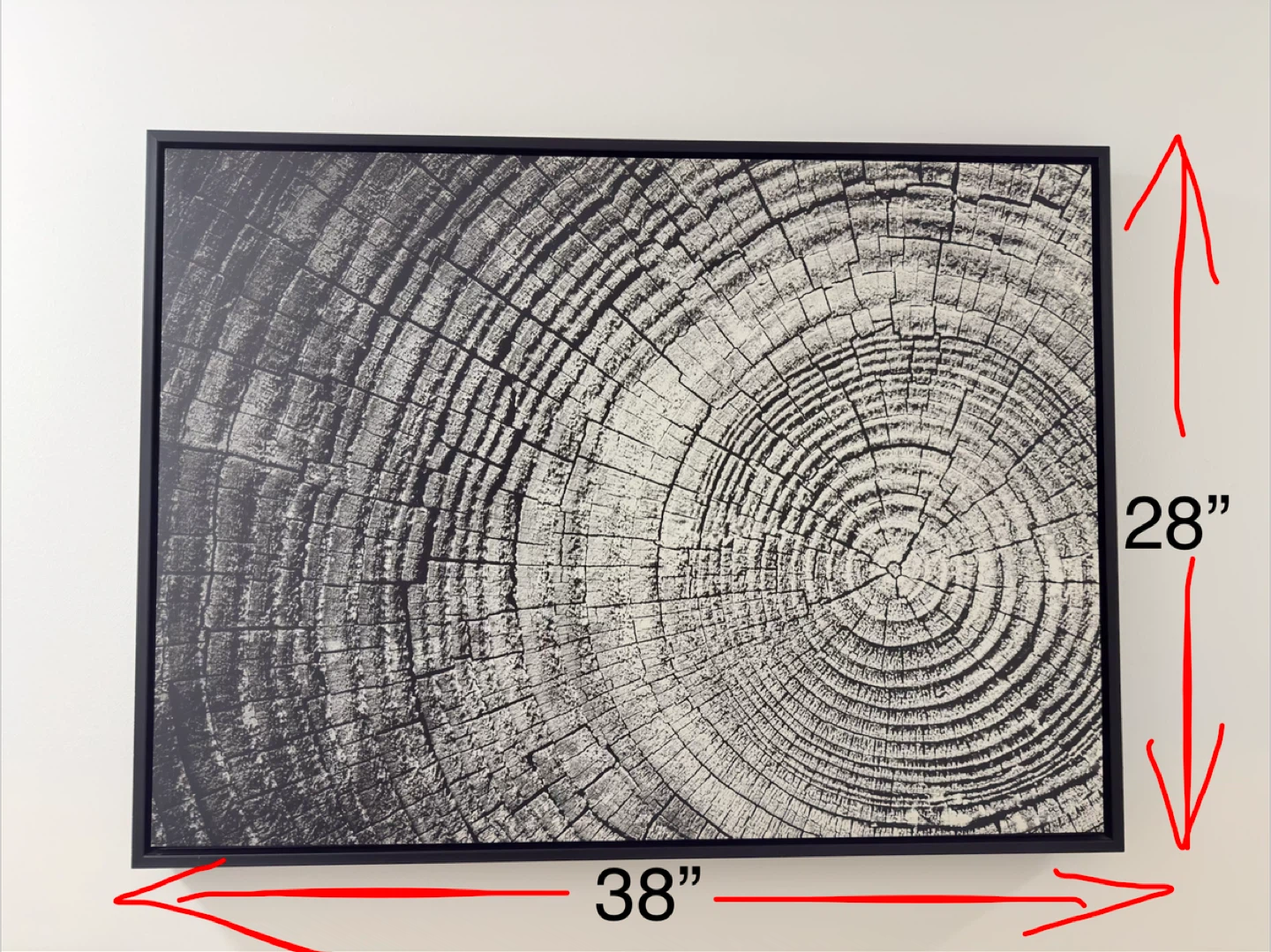 Framed Black and White Ring Art Print - photo 2