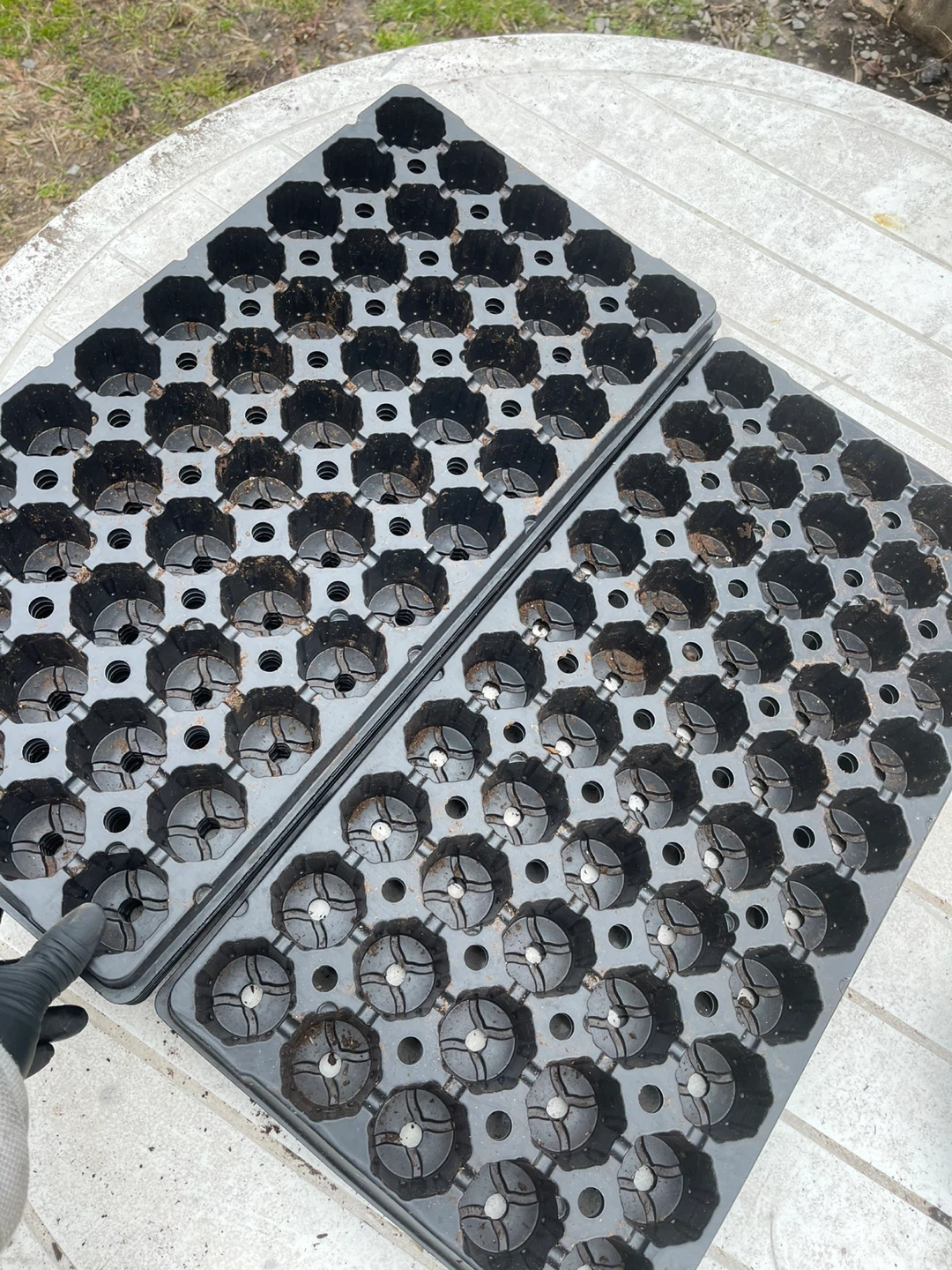 Seedling Starter Trays - photo 4