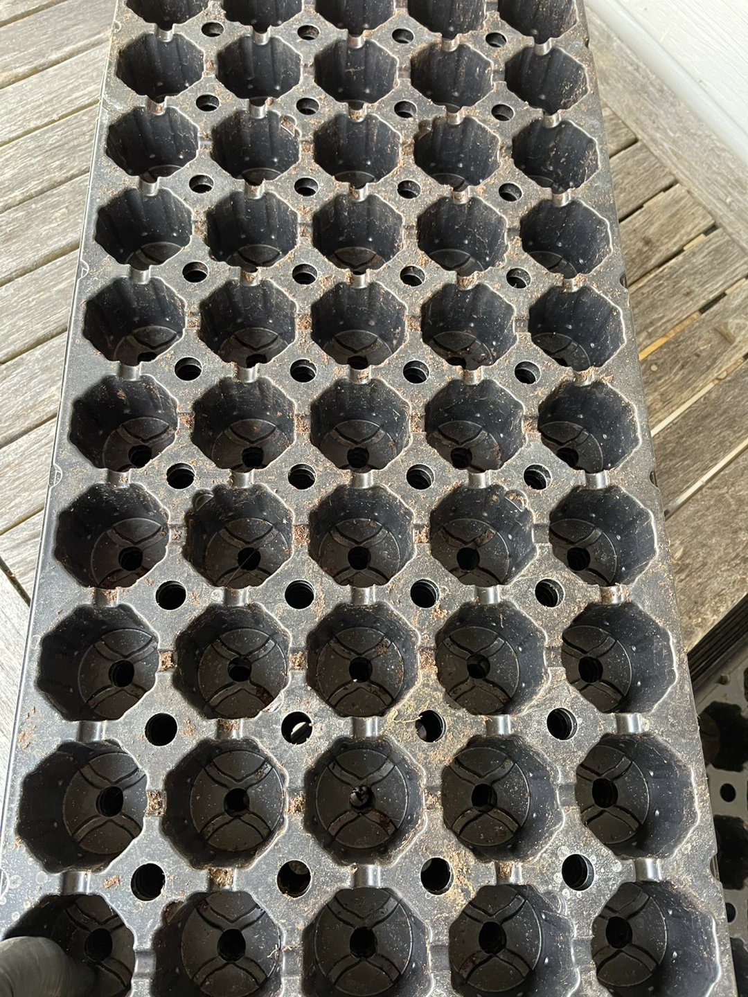 Seedling Starter Trays