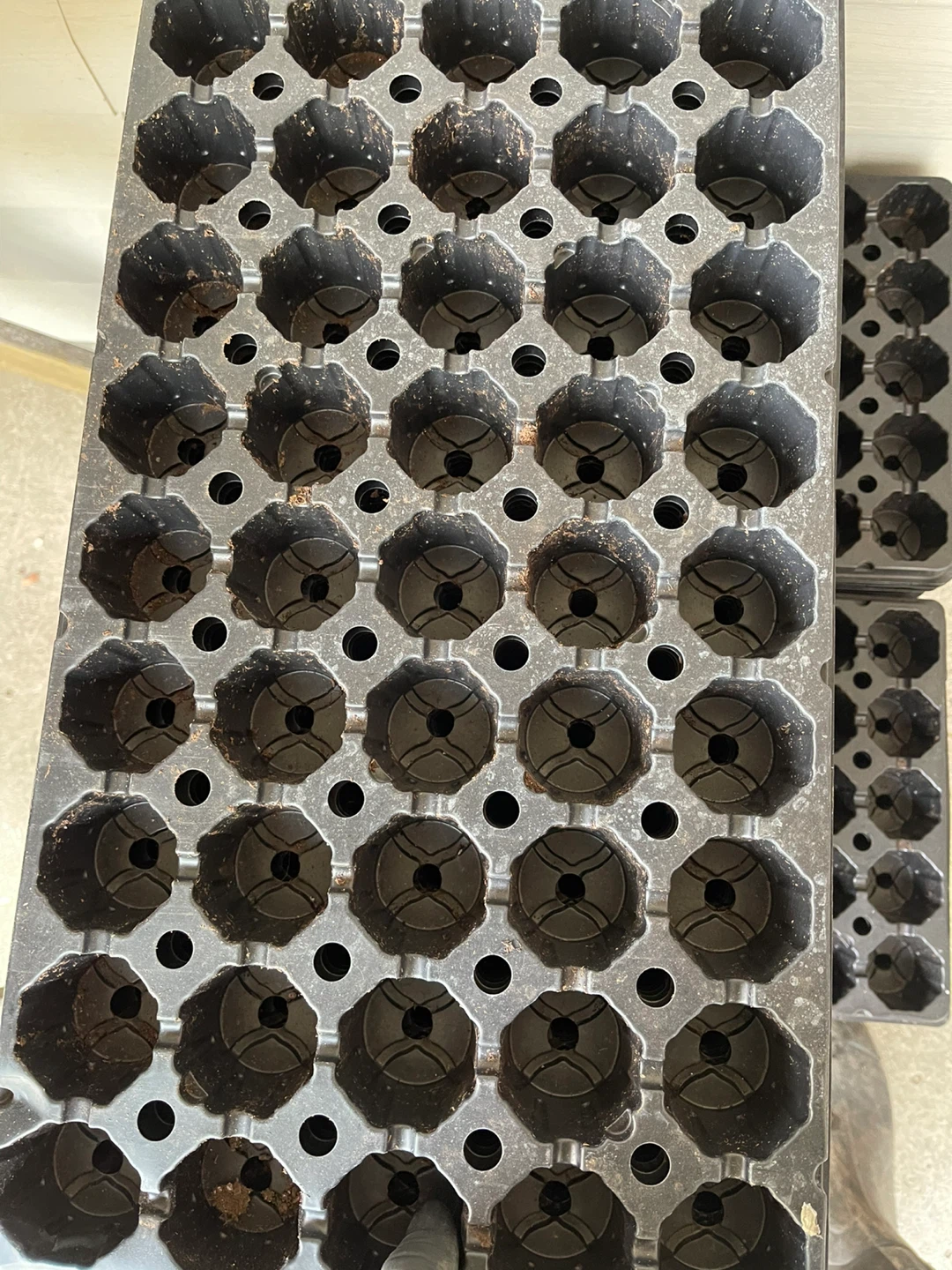 Seedling Starter Trays - photo 2